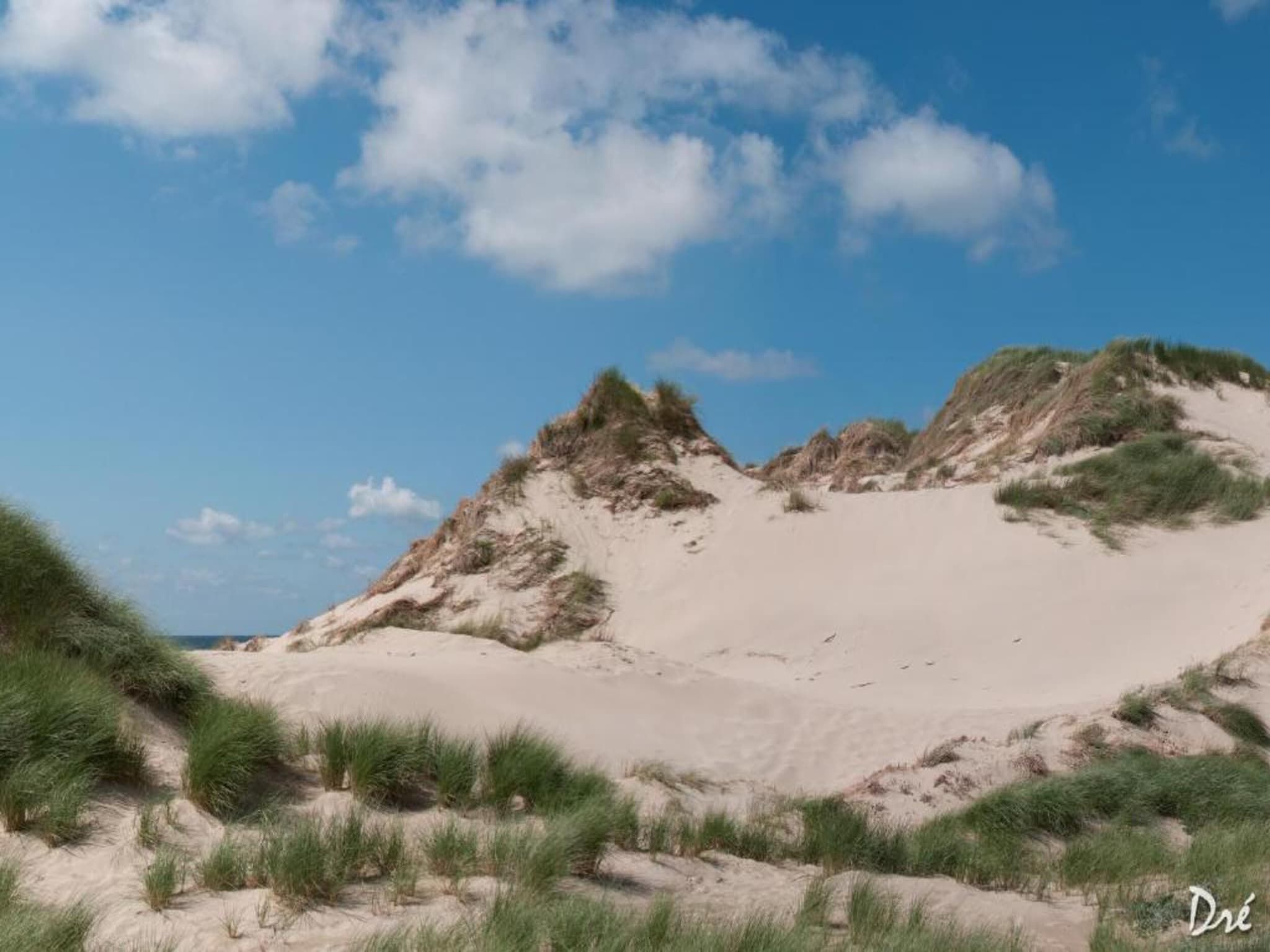 Helmgras II in Egmond aan zee - Foto 30 van 40