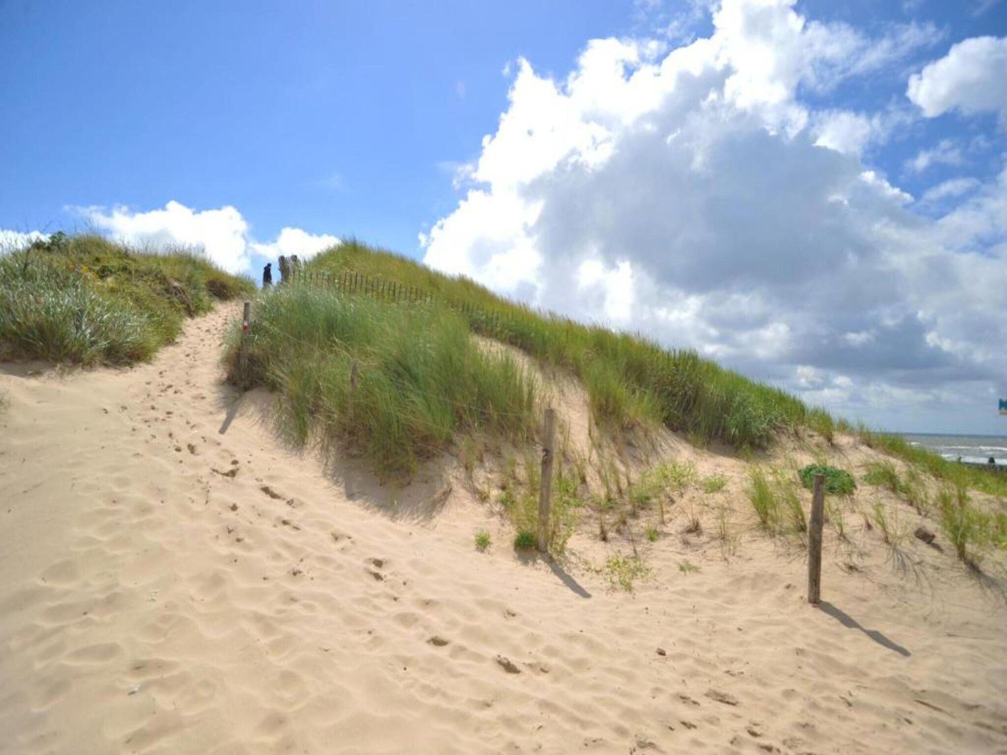 Helmgras II in Egmond aan zee - Foto 33 van 40