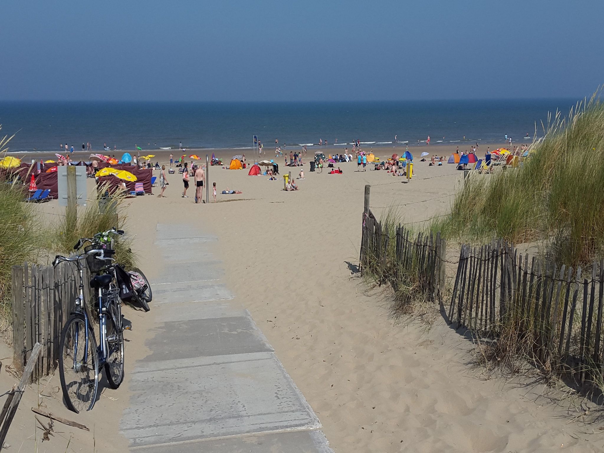De omgeving van Cosa Nora in Noordwijkerhout