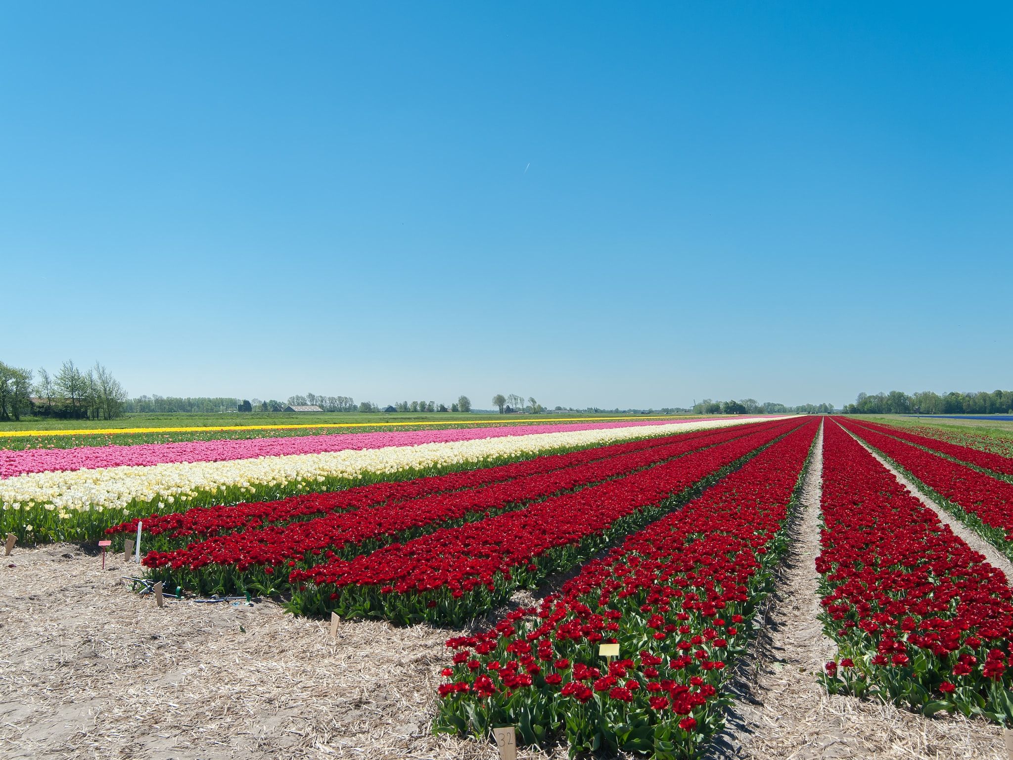 De omgeving van Wilca Hoeve in Schoorl