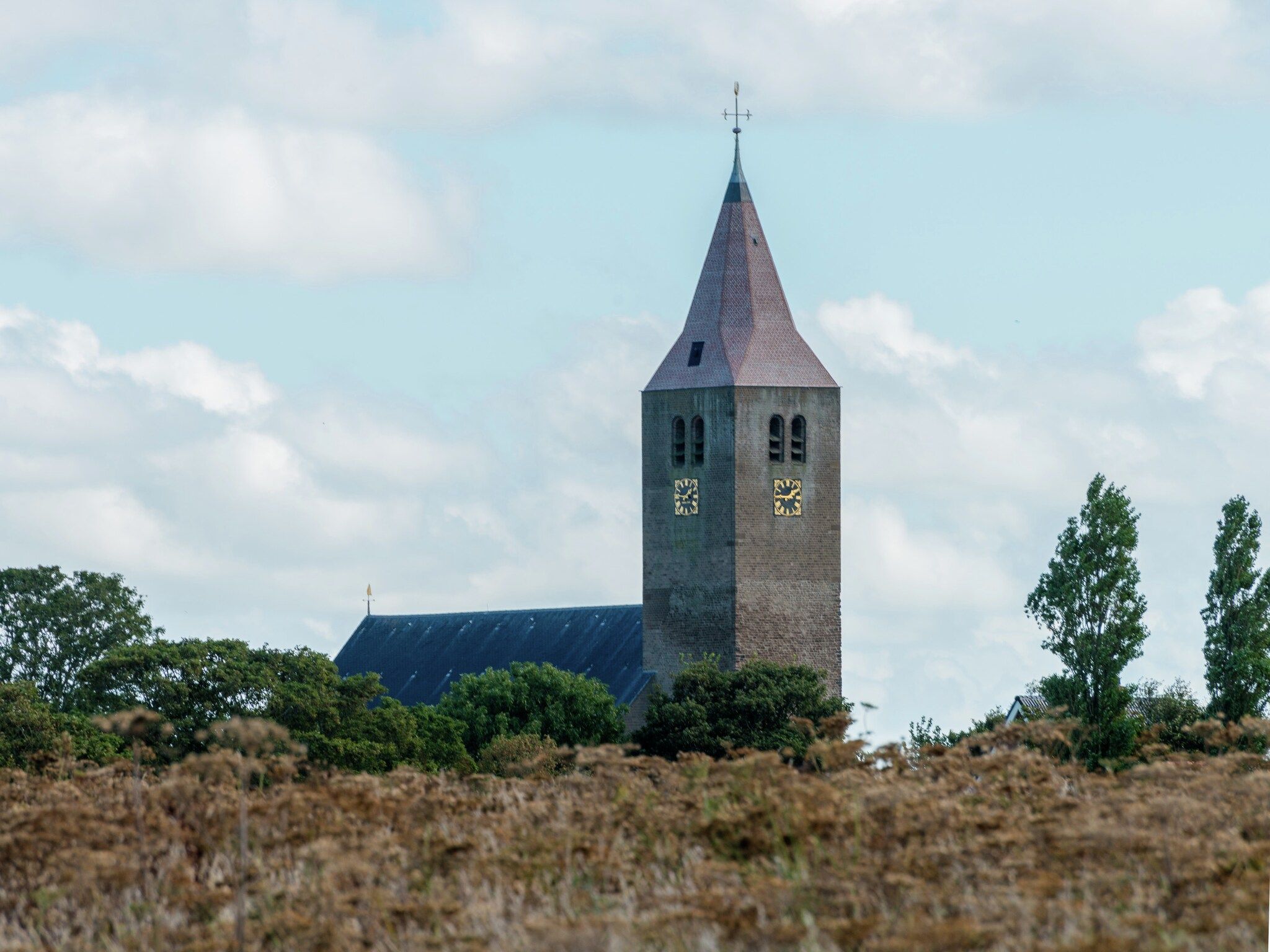 De omgeving van De Grutto in Hippolytushoef