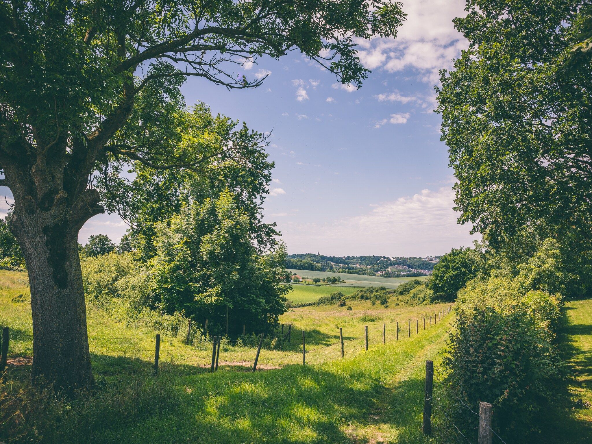 De omgeving van Bungalowpark Schin op Geul 3 in Walem