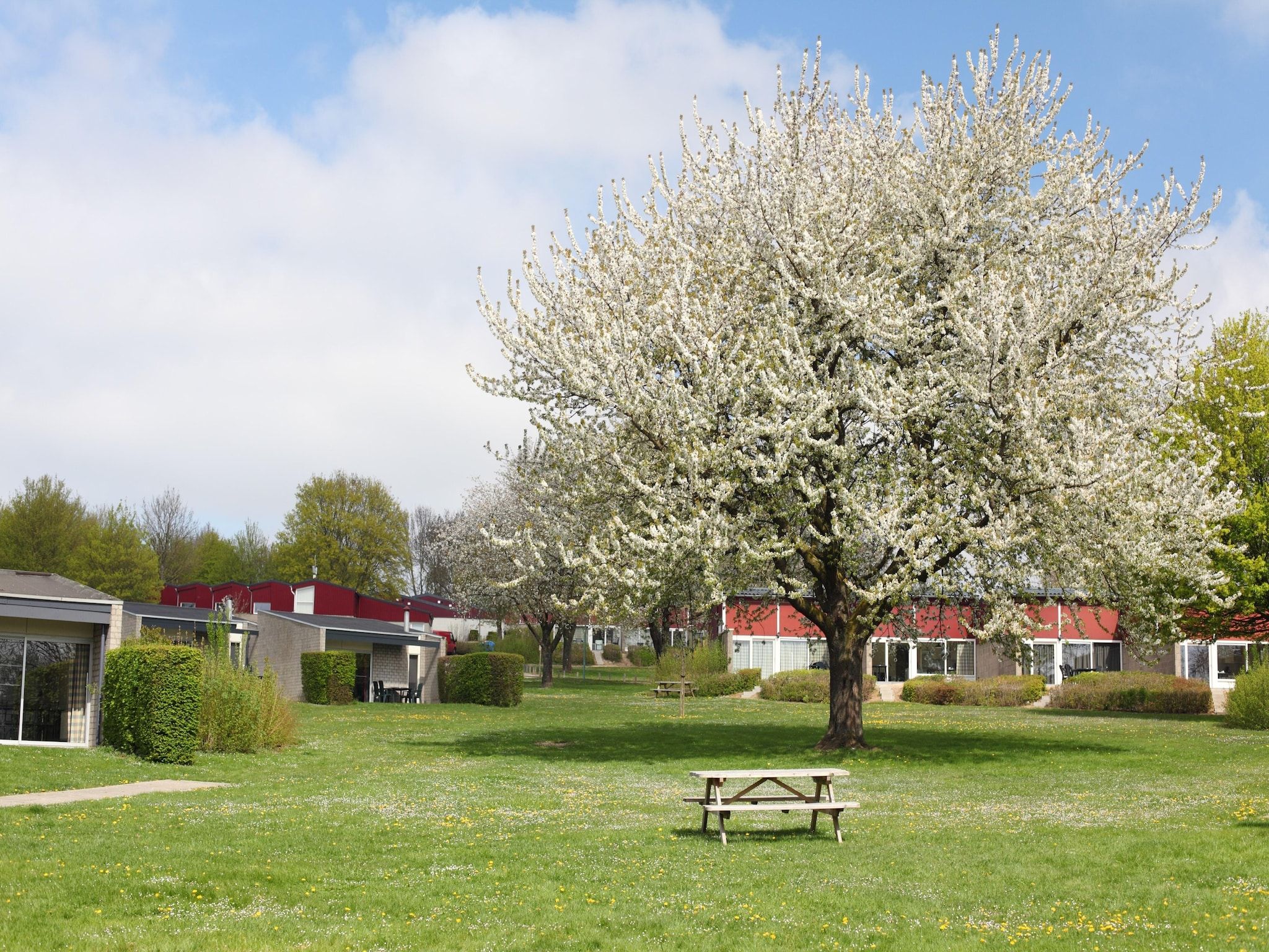 De tuin van Bungalowpark Schin op Geul 9 in Walem
