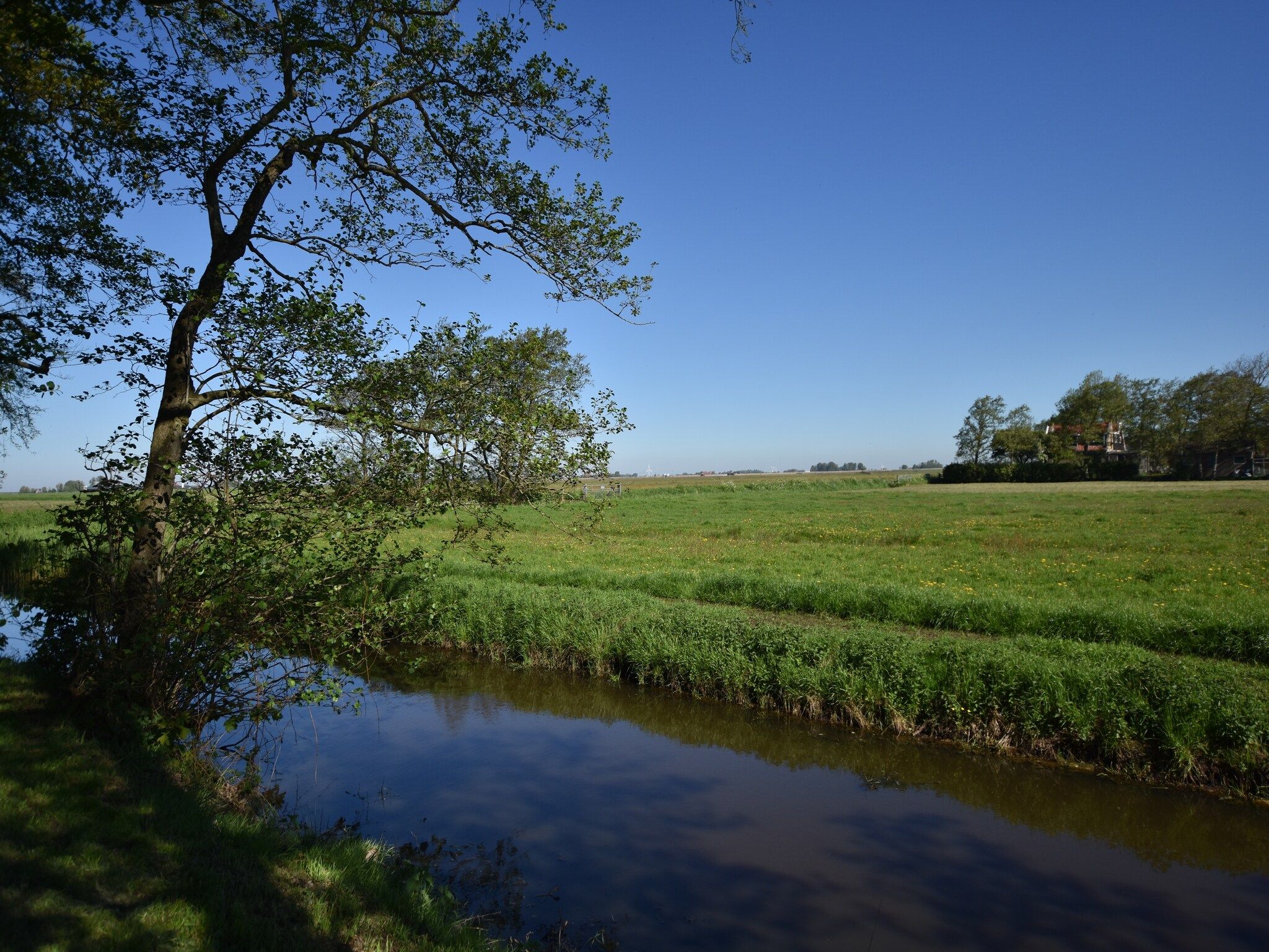 Het uitzicht vanaf Berkenhof in Workum