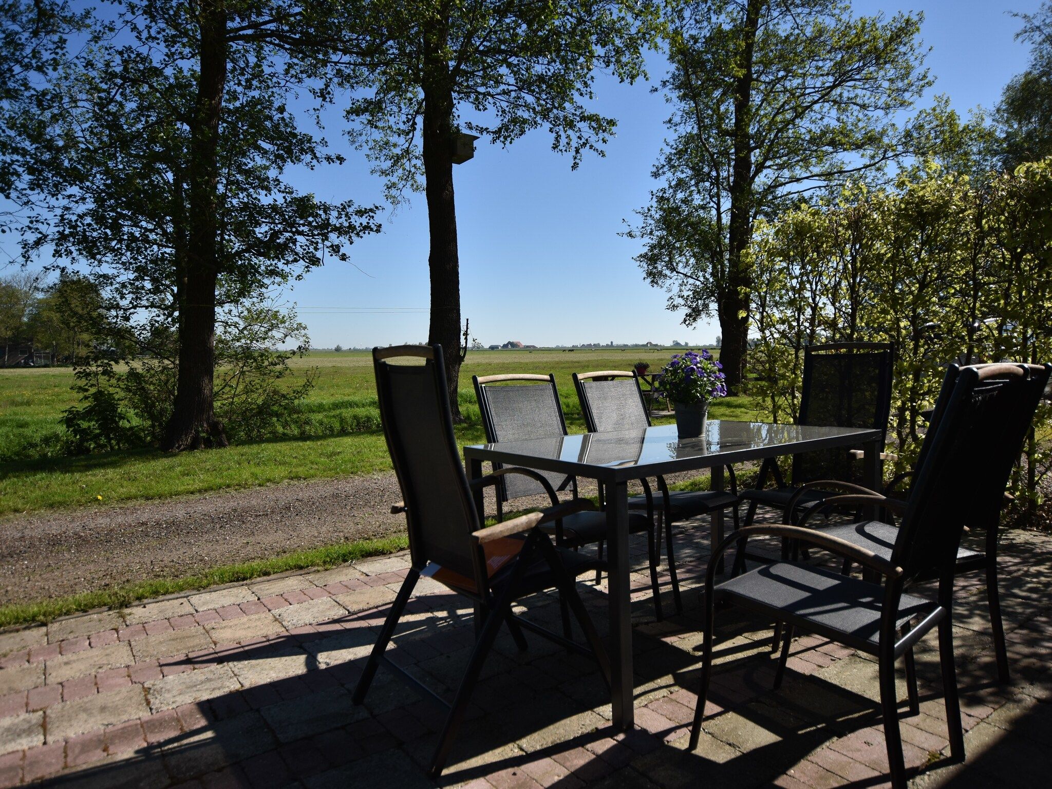 Het terras van Berkenhof in Workum