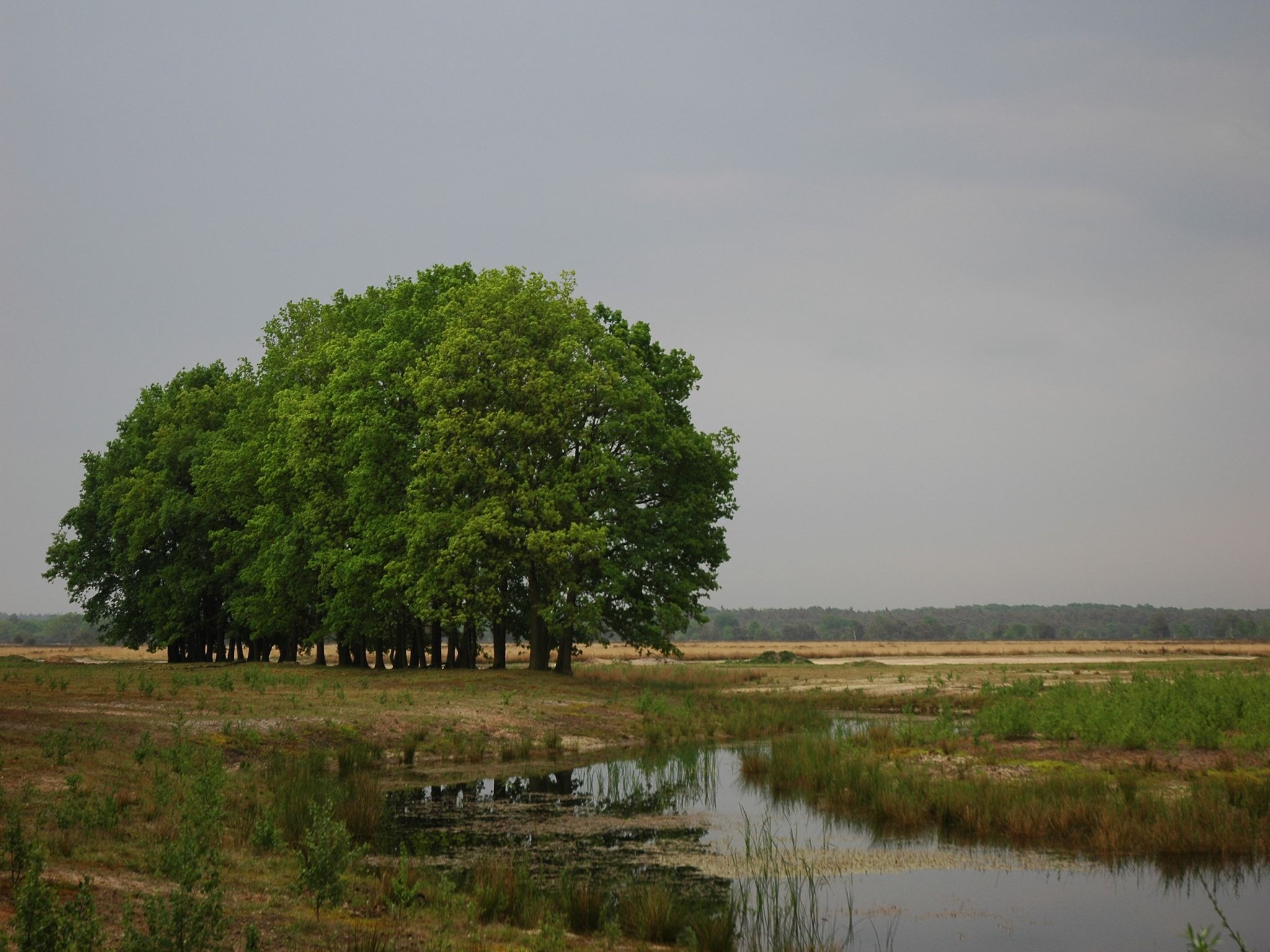Landgoed De IJsvogel 3 in Voorthuizen - Foto 29 van 40