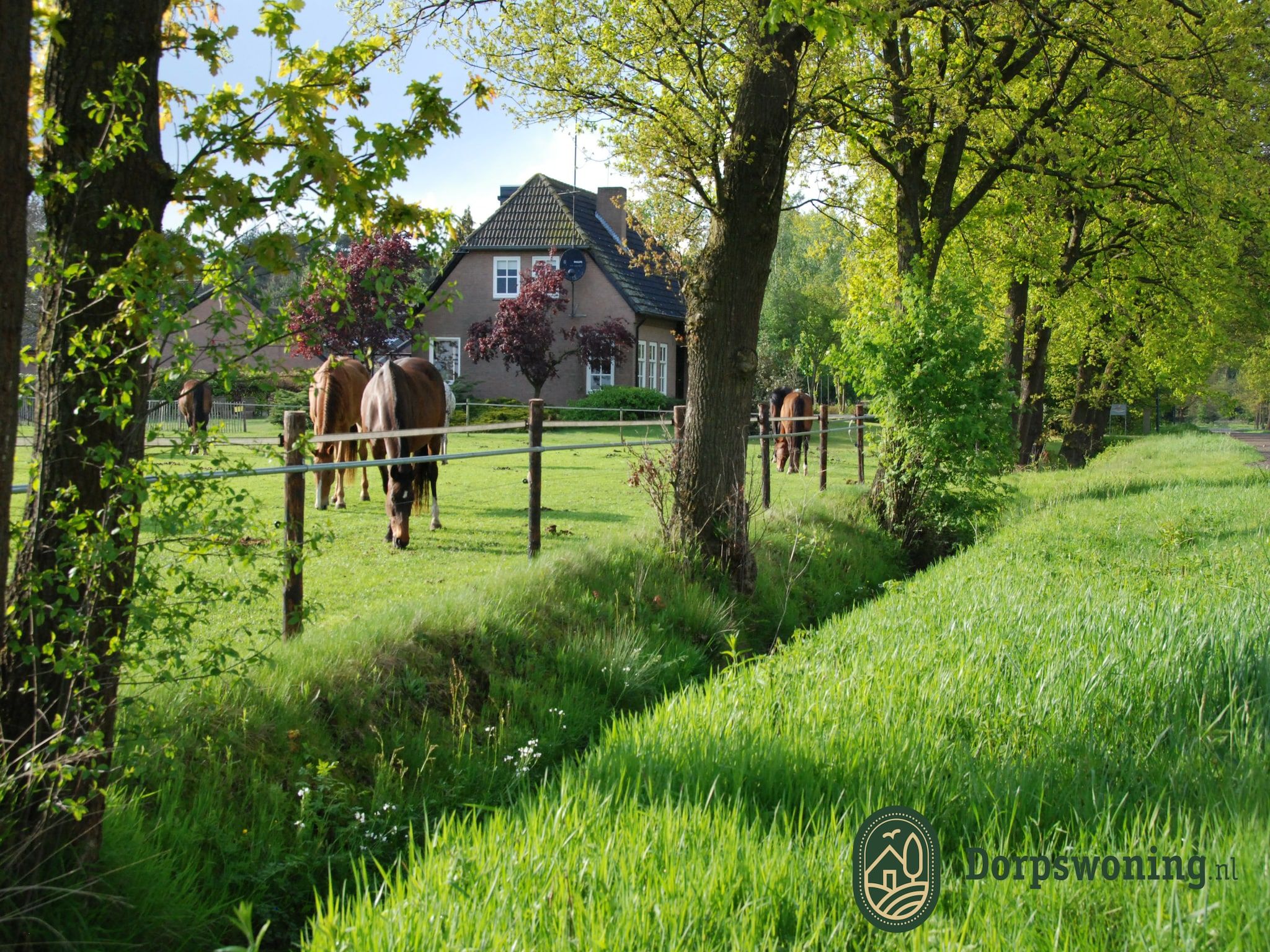 Dorpswoning De Plek in Leende - Foto 6 van 40