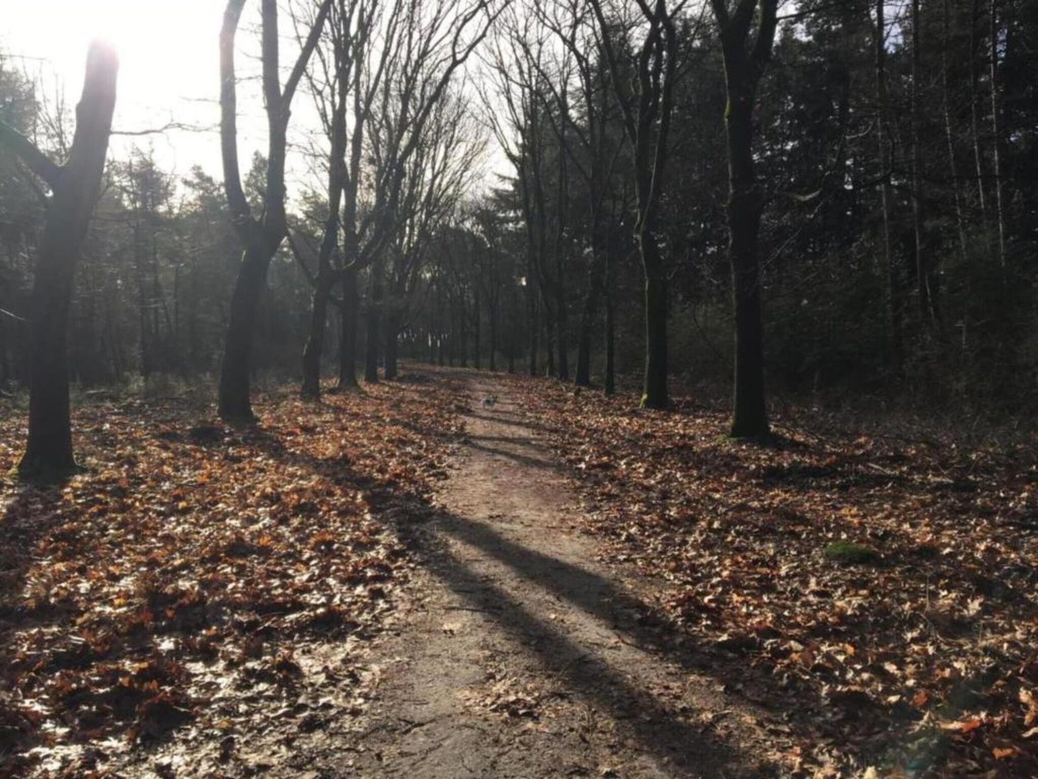 Dorpswoning De Plek in Leende - Foto 40 van 40