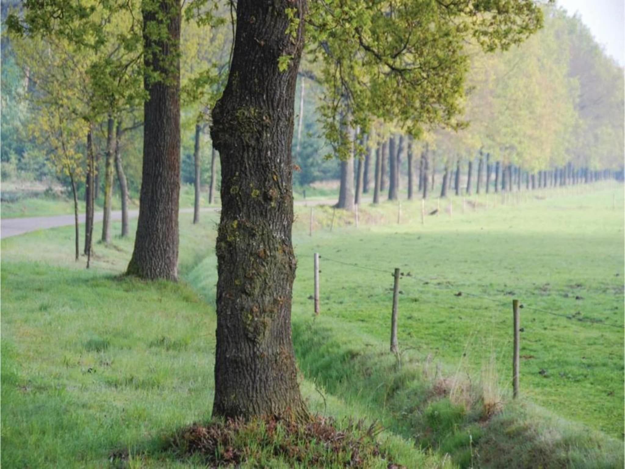 Dorpswoning Op Niveau in Leende - Foto 38 van 40