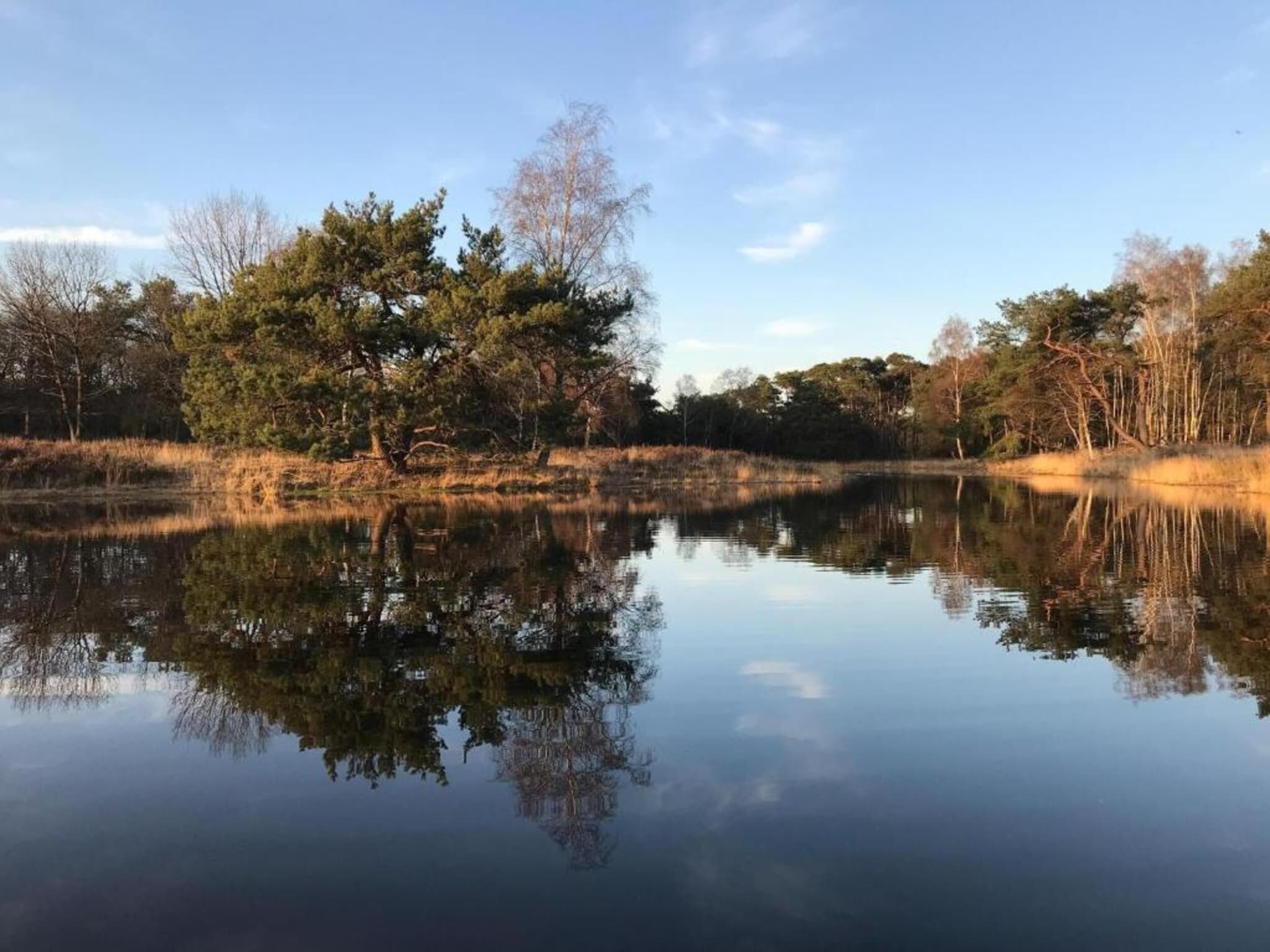 Dorpswoning Het Knusse in Leende - Foto 39 van 40