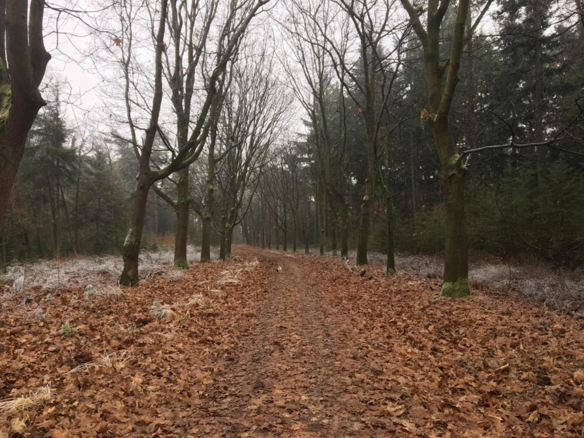 Dorpswoning Het Knusse in Leende - Foto 34 van 40