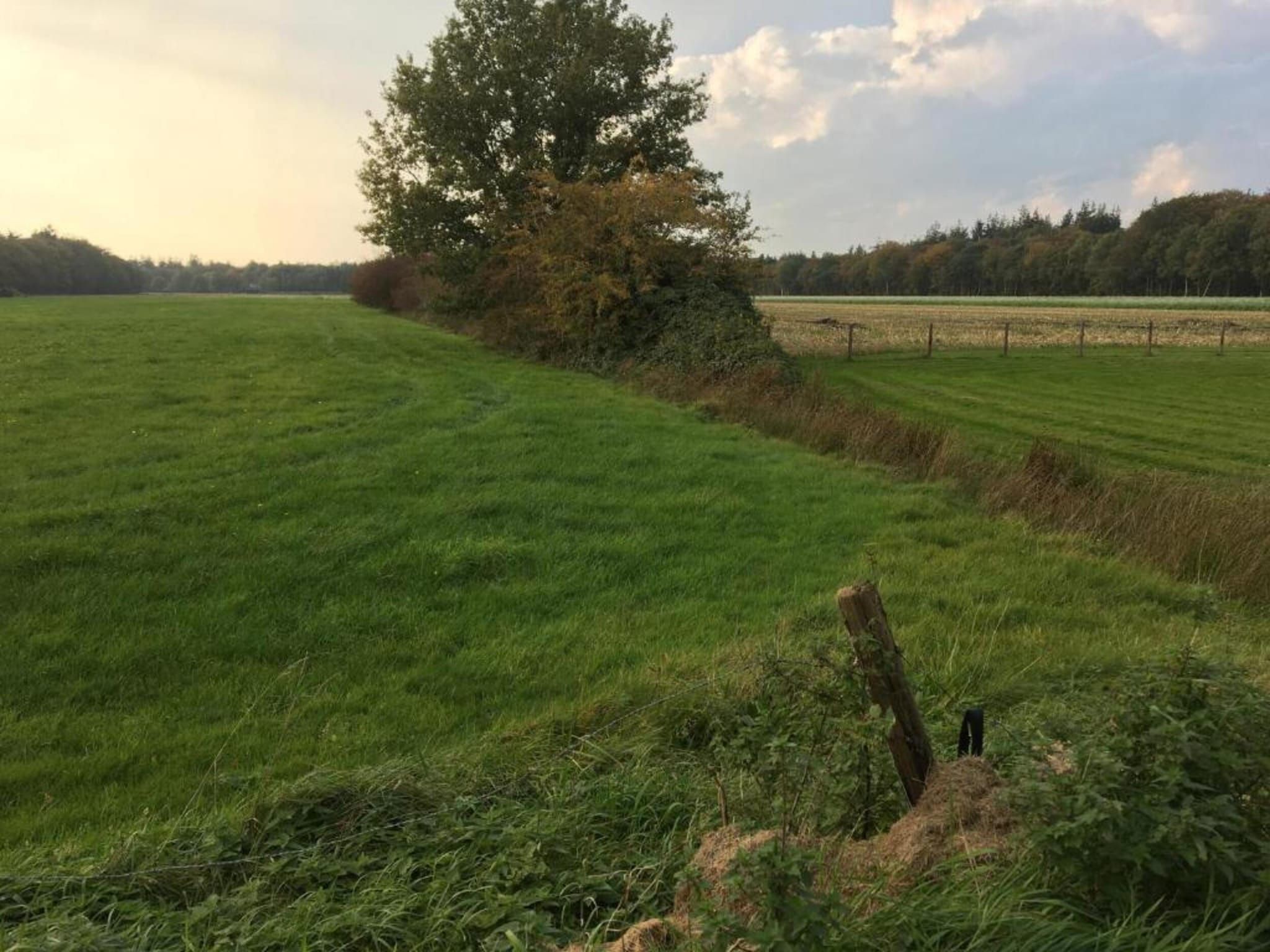 Landgoed Eysinga State 4 in Sint Nicolaasga - Foto 34 van 37