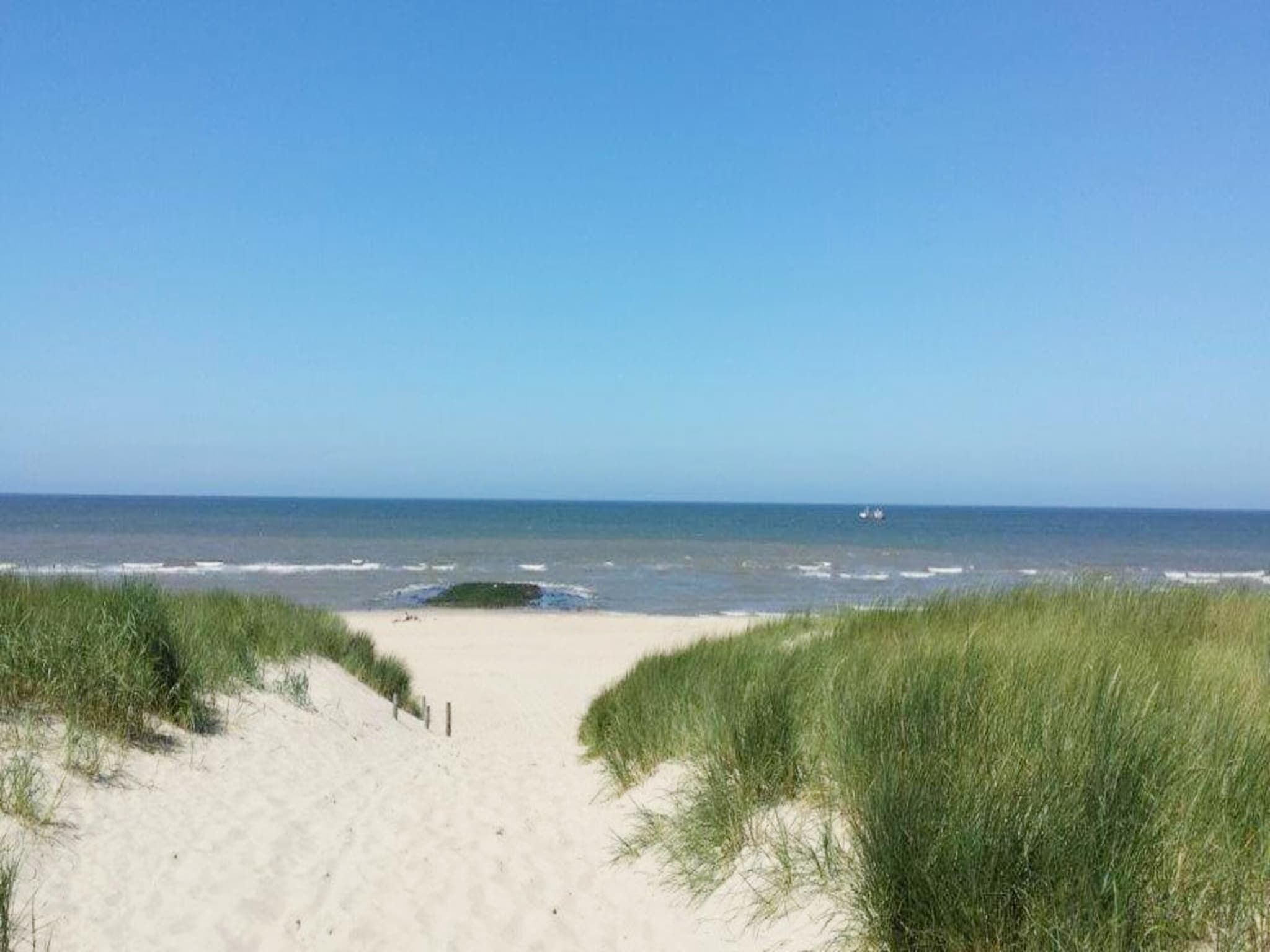 De omgeving van de Biotoop in Callantsoog
