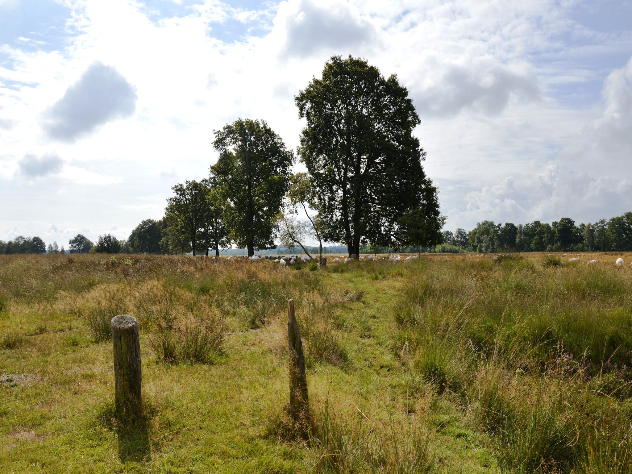 Wapse in Wapse - Foto 17 van 35