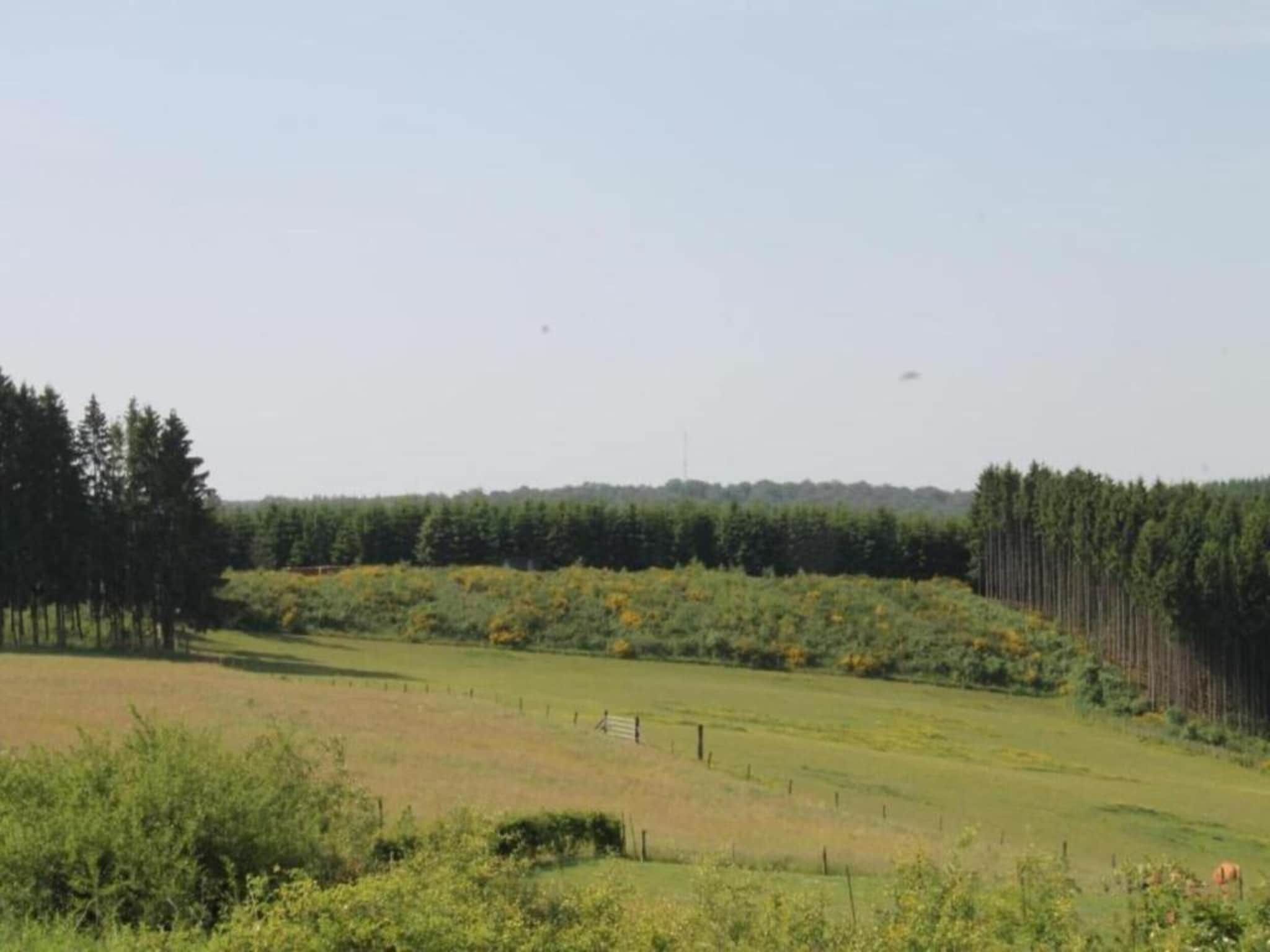 De omgeving van Résidence de Weerribben 1 in Paasloo