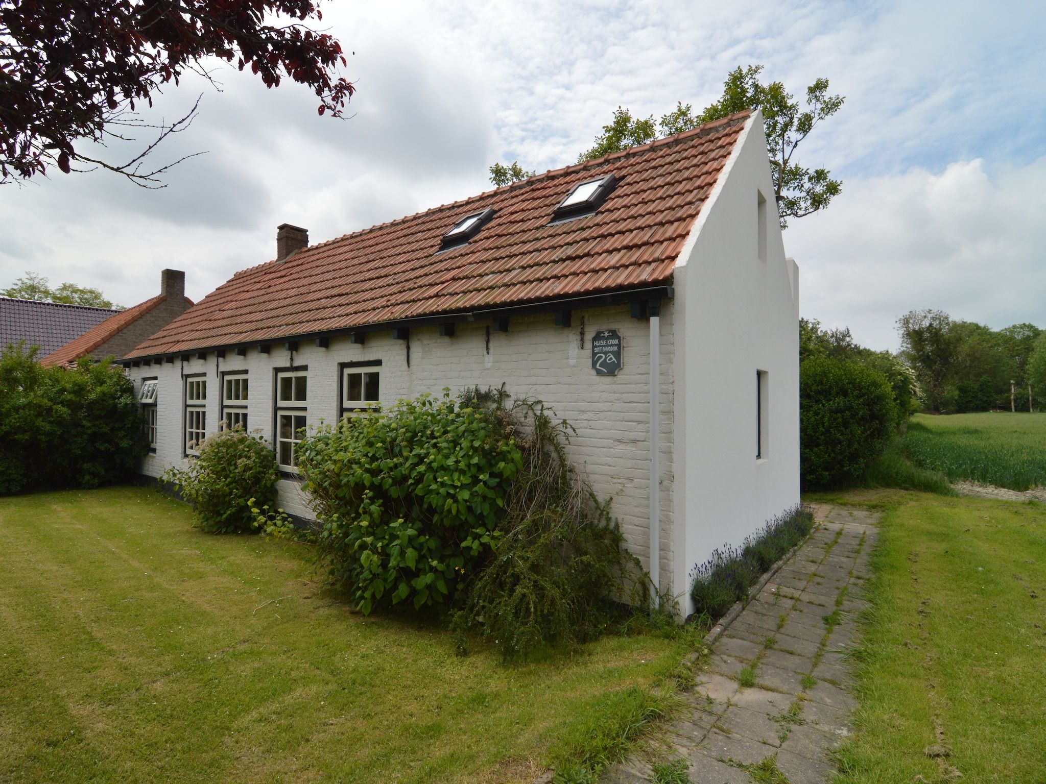 De buitenkant van Knook in Nieuwvliet