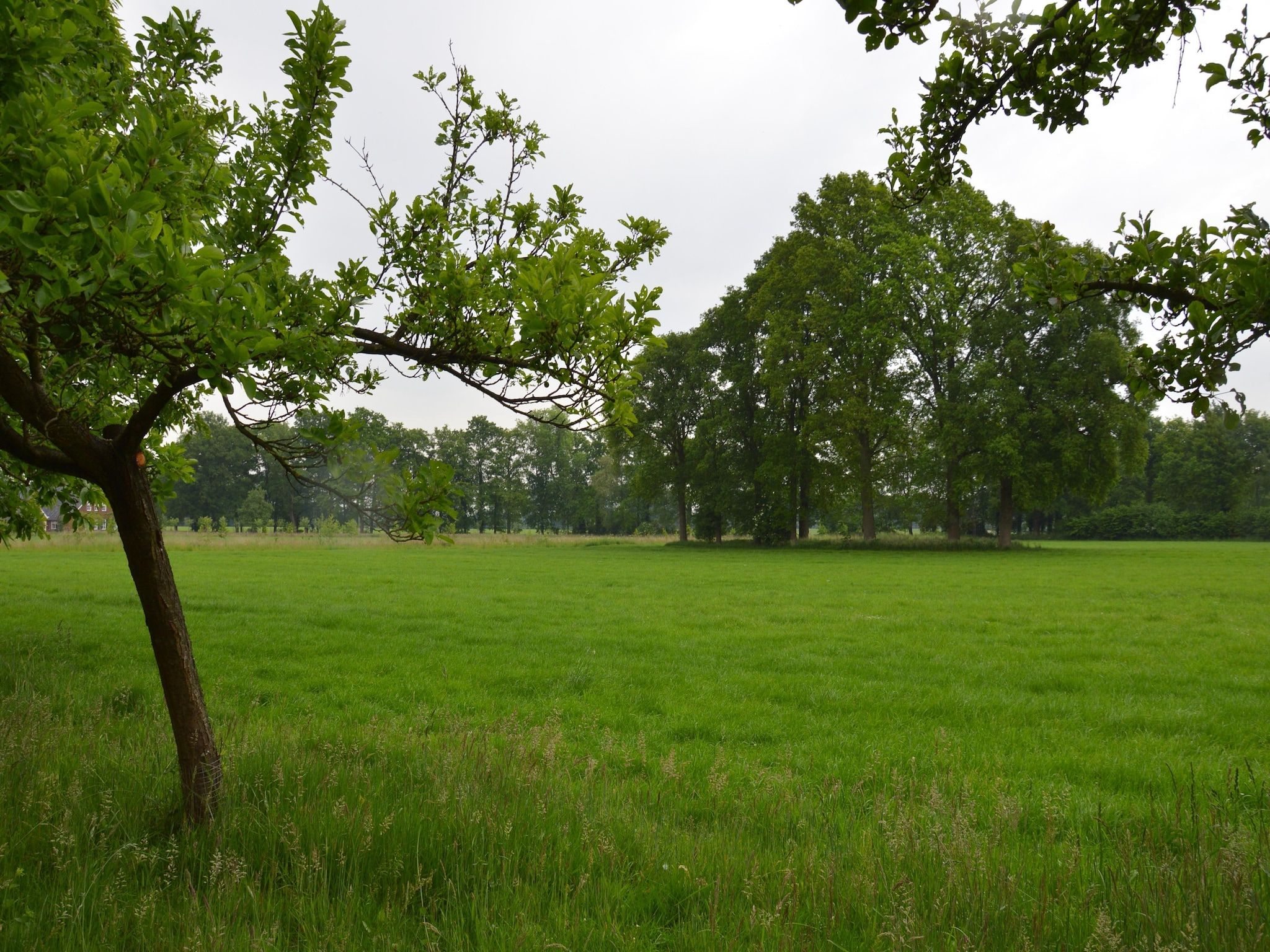 De tuin van Huus in 't Hagt in Aalten