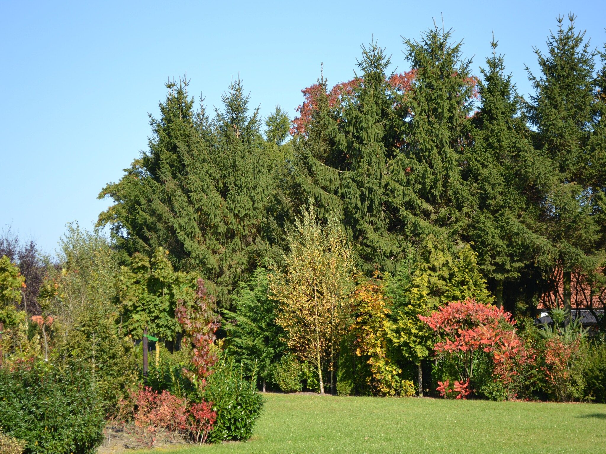 De tuin van de Veluwse Vrijheid in Eerbeek