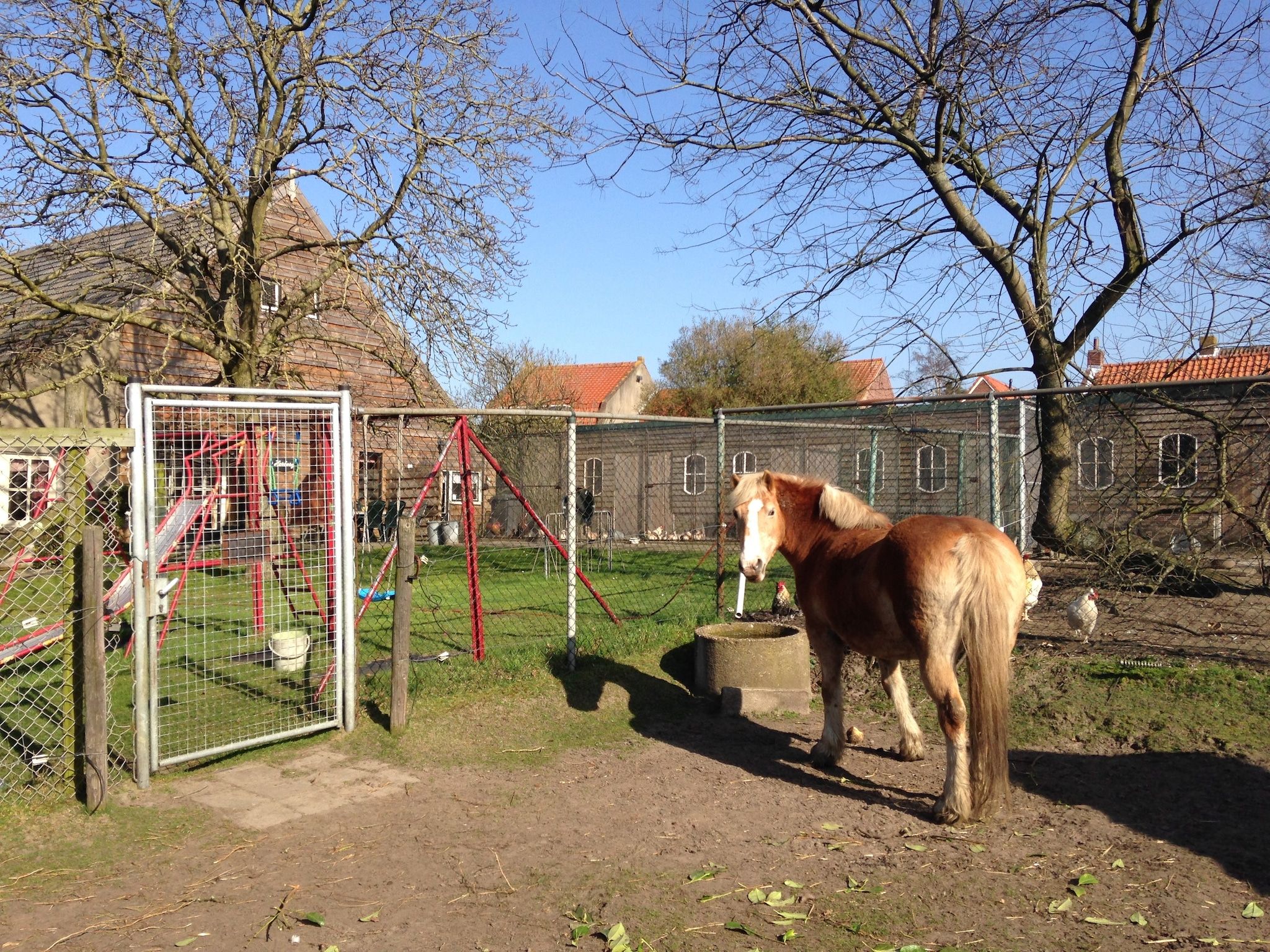 De tuin van Pipowagen de Weideblick in Bergen op Zoom