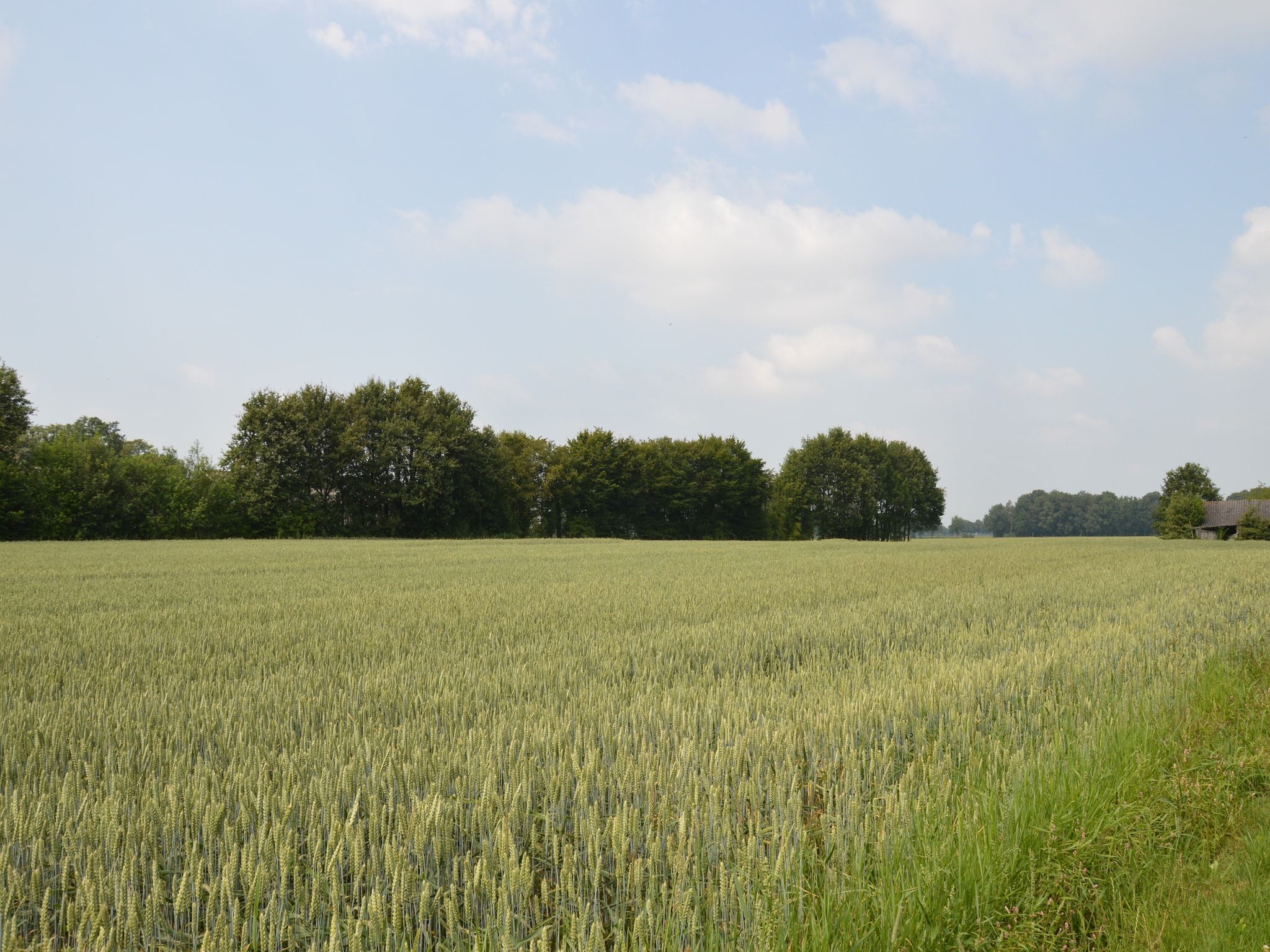 Het uitzicht vanaf Kabinet in Geesteren