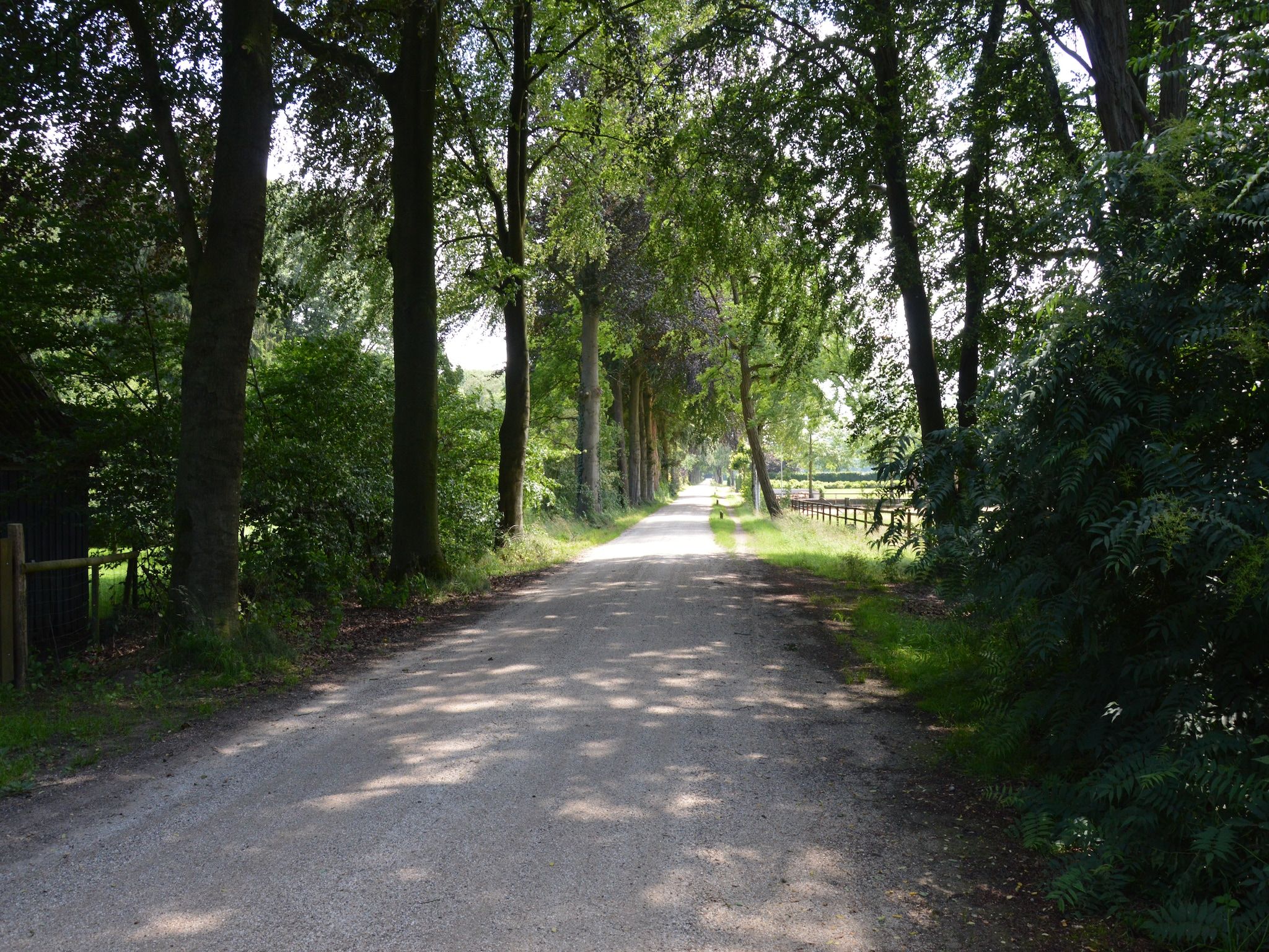 Het Kruisselt in Zelhem - Foto 23 van 36