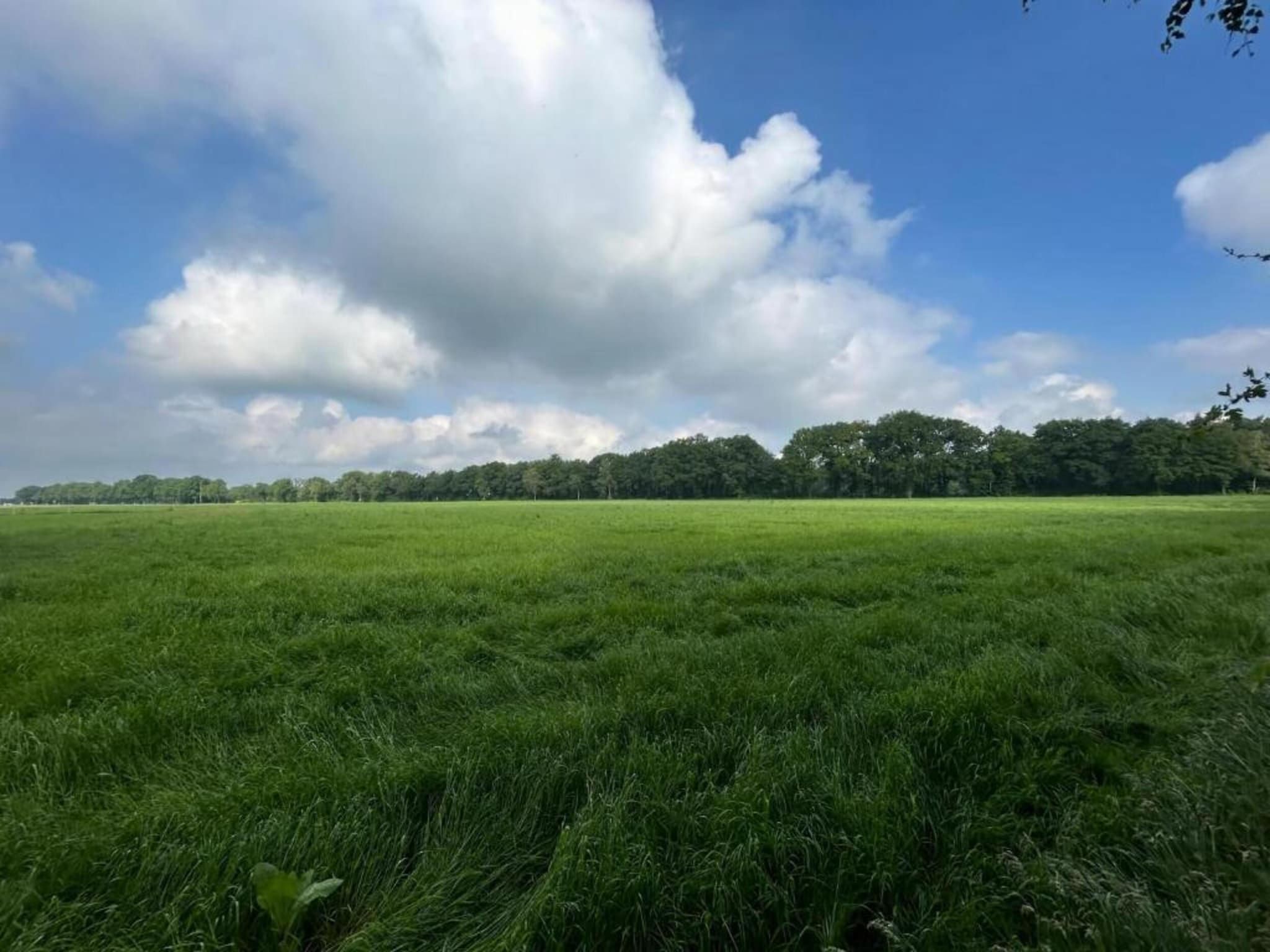 Het Kruisselt in Zelhem - Foto 33 van 36