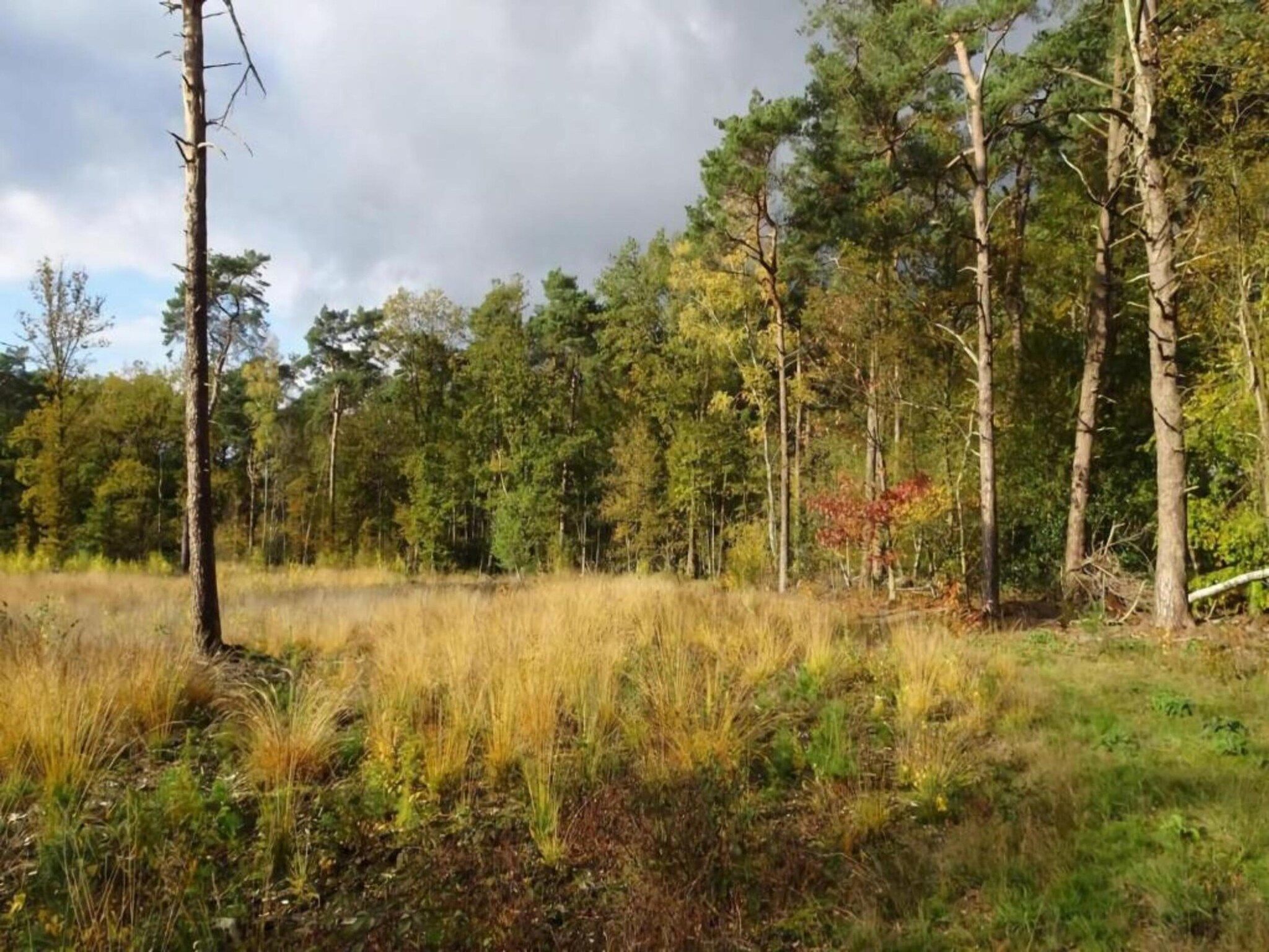 Het Kruisselt in Zelhem - Foto 34 van 36