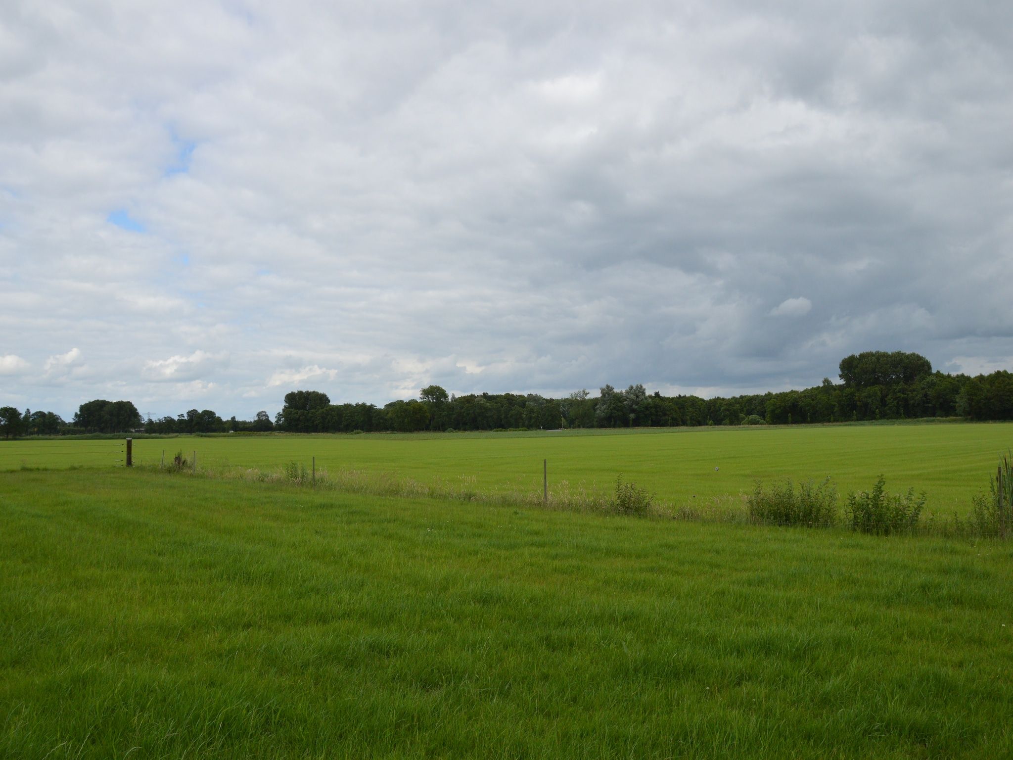 Het uitzicht vanaf 't Kokhuus in Holten