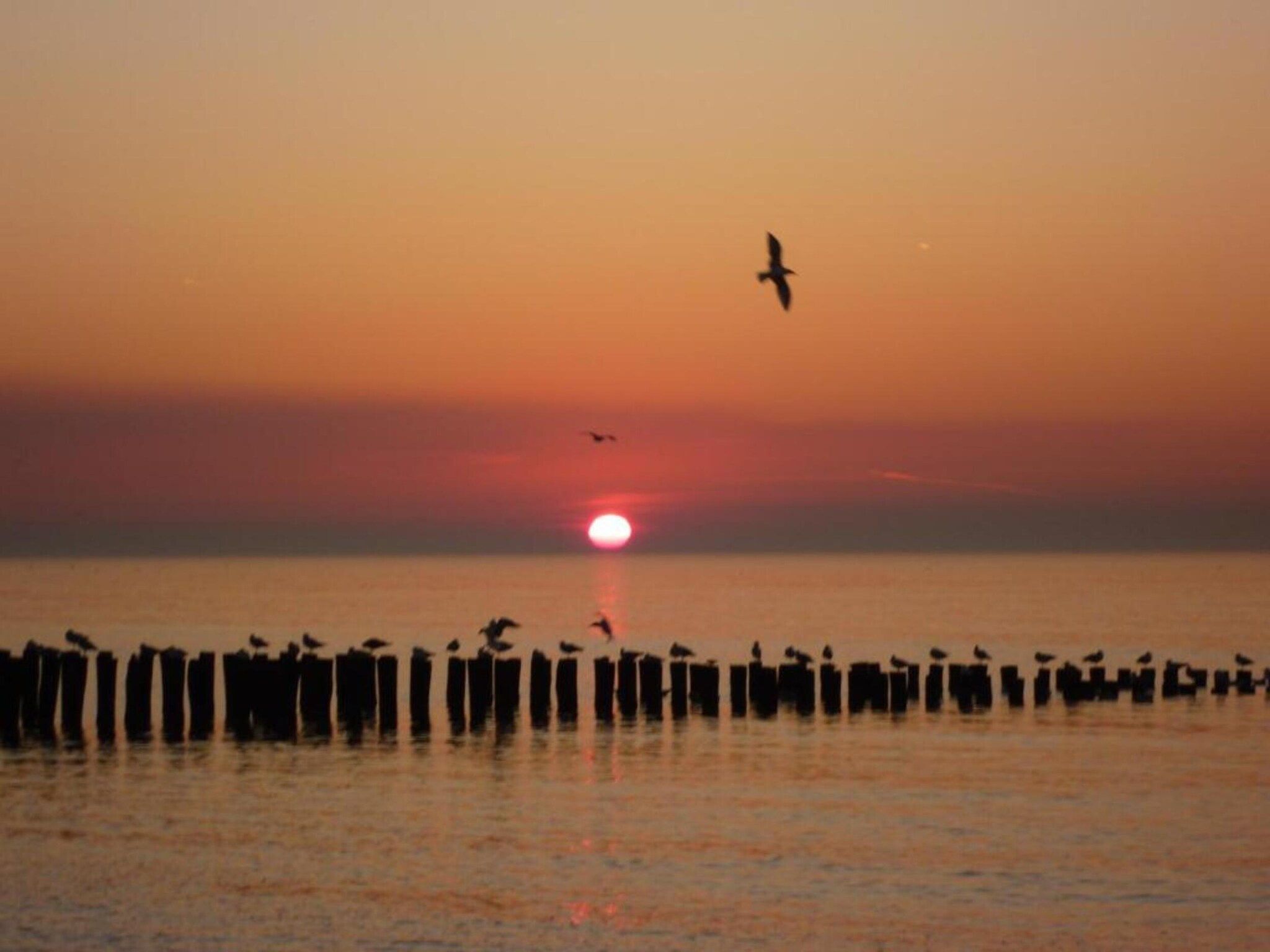 Résidence Wijngaerde 7 in Domburg - Foto 31 van 40