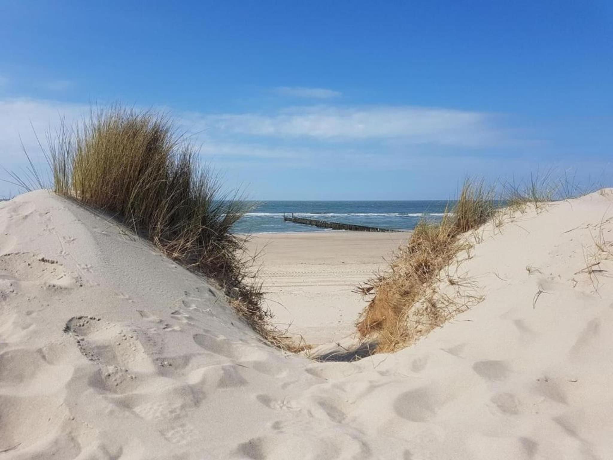 Résidence Wijngaerde 8 in Domburg - Foto 13 van 40