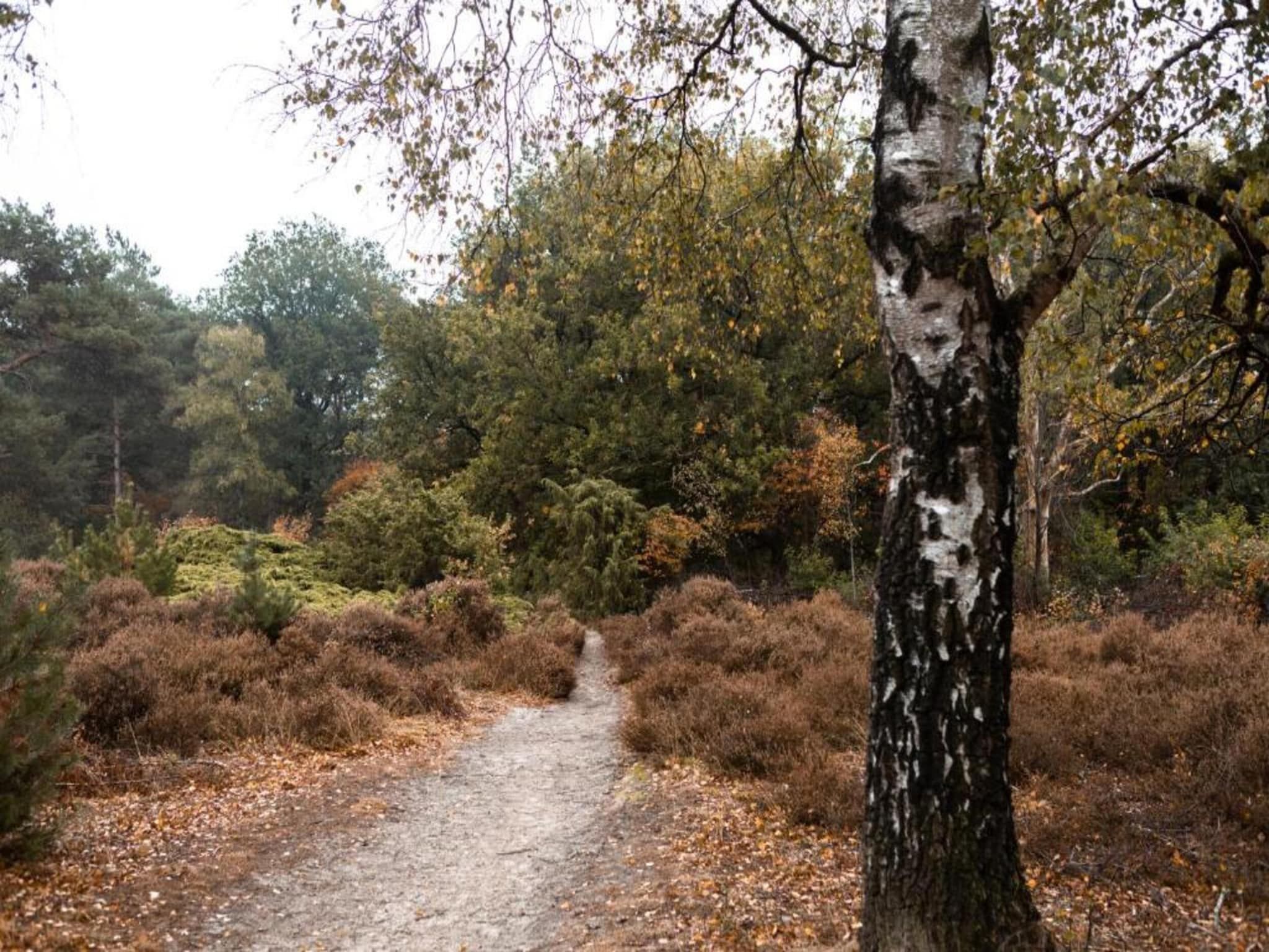 De omgeving van Hof van Salland 2 in Hellendoorn