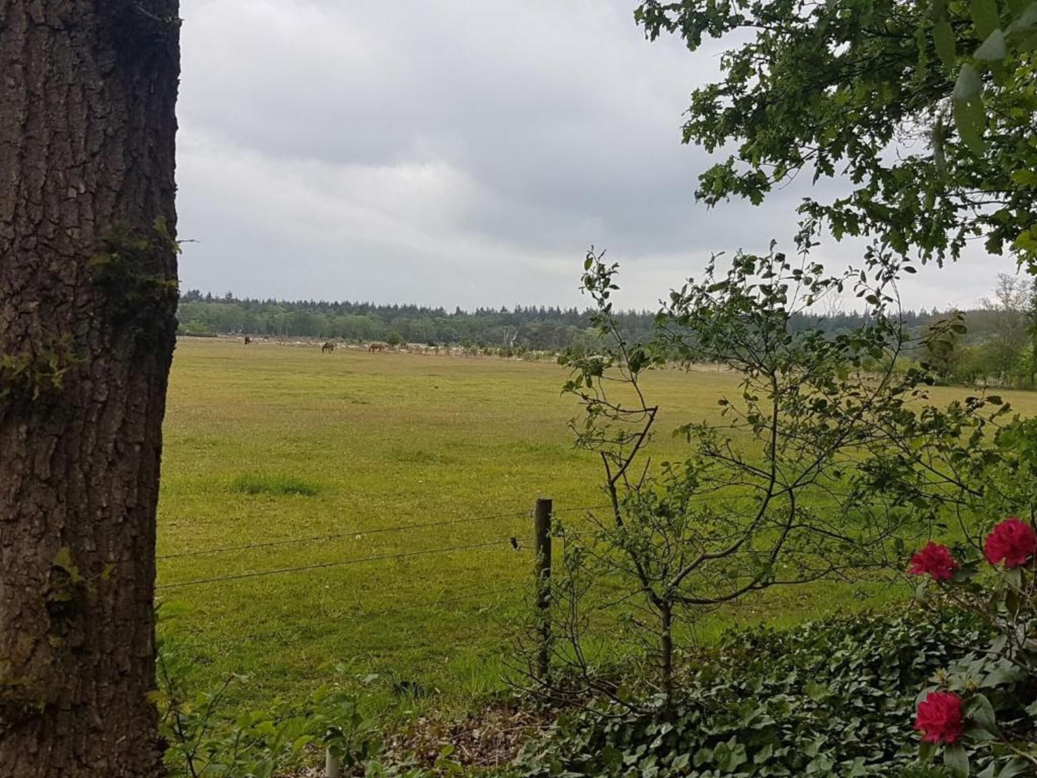De omgeving van Hof van Salland 6 in Hellendoorn