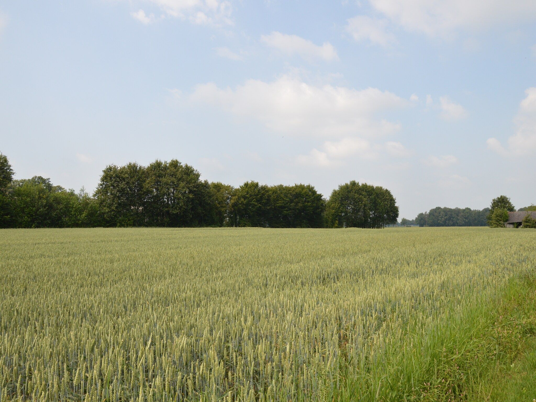 Het uitzicht vanaf Broodkast in Geesteren