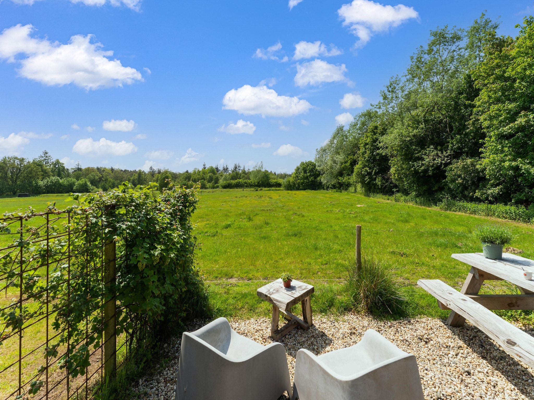 Het uitzicht vanaf Natuurhuis Dichtbij in Beilen