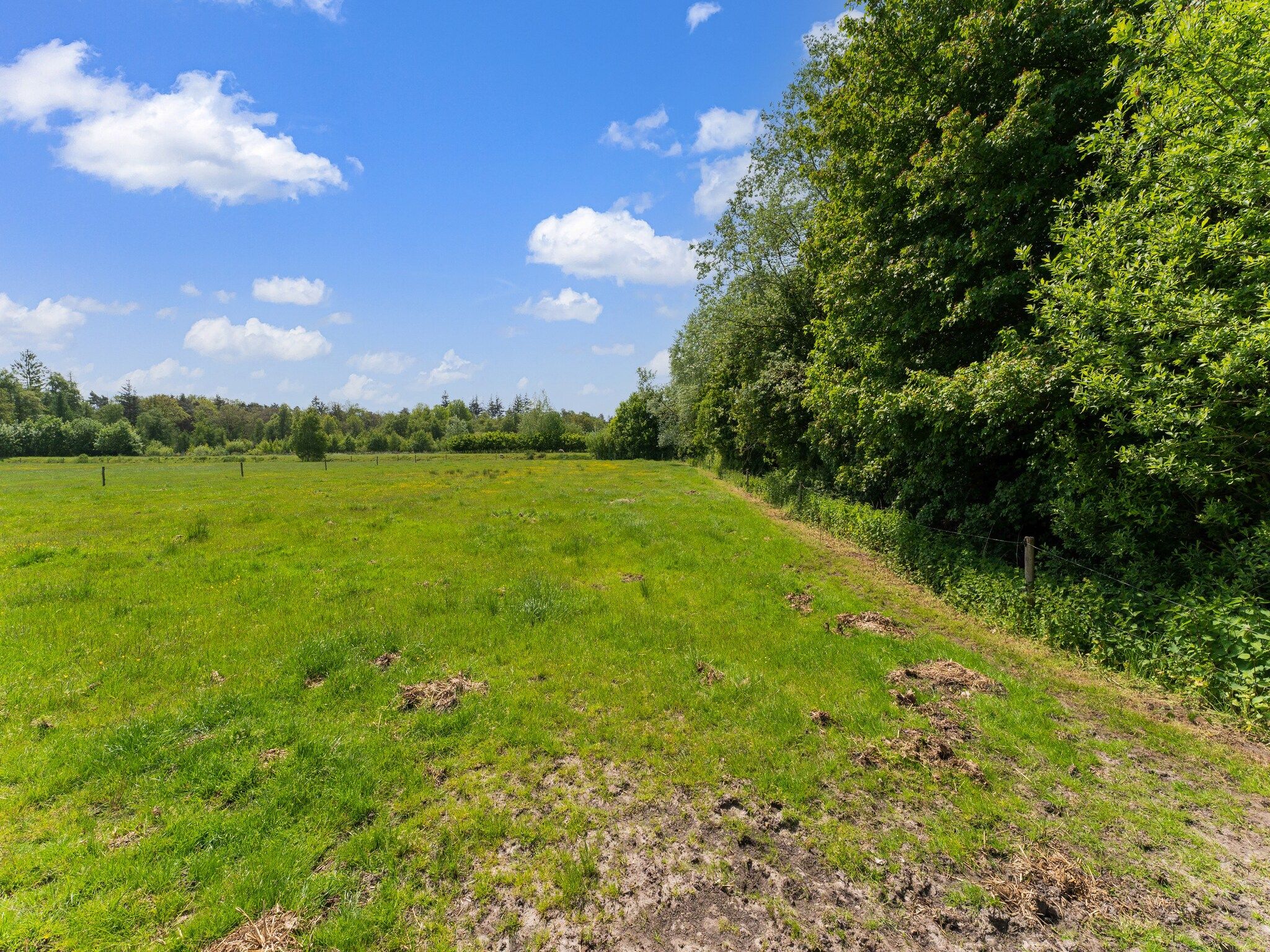 De omgeving van Natuurhuis Dichtbij in Beilen