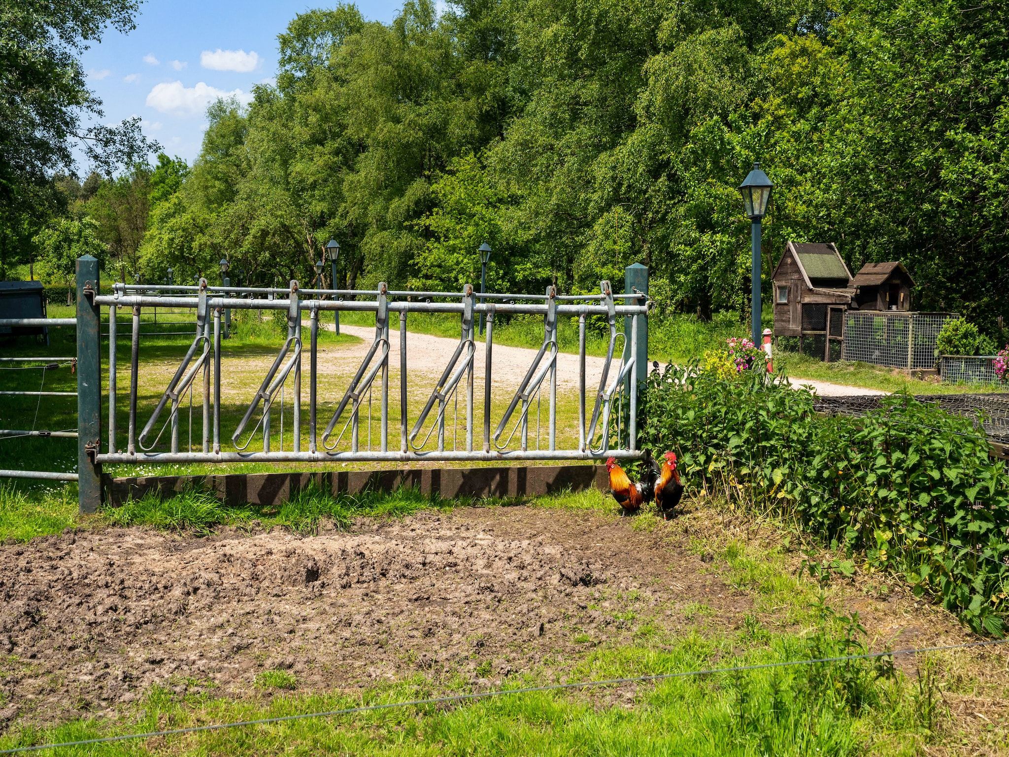 Natuurhuis Dichtbij in Beilen - Foto 34 van 40