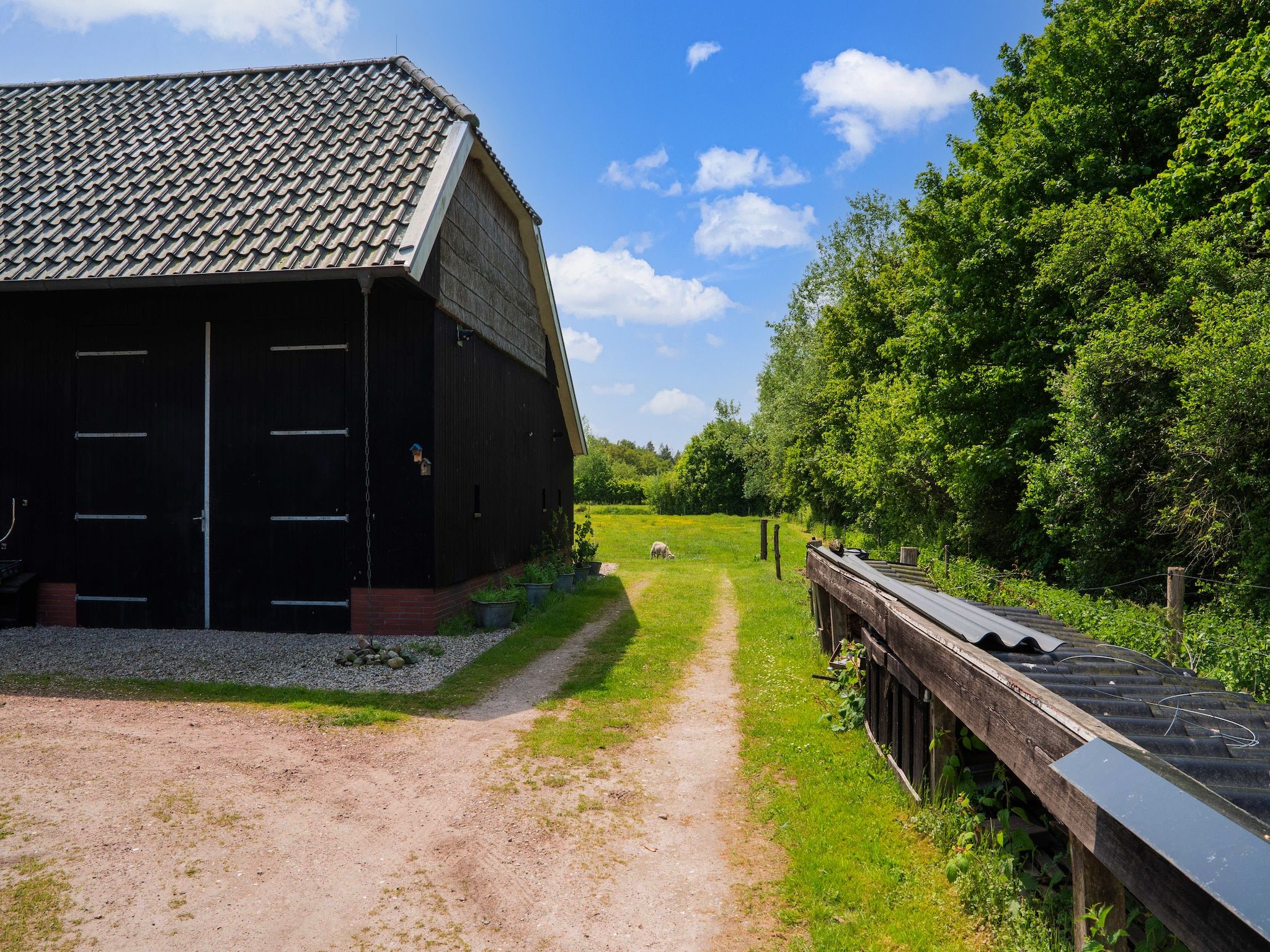 De buitenkant van Natuurhuis Dichtbij in Beilen
