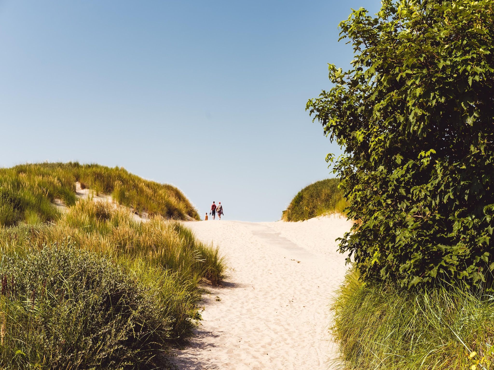 De omgeving van Boomhiemke Duinbungalow 4 in Hollum