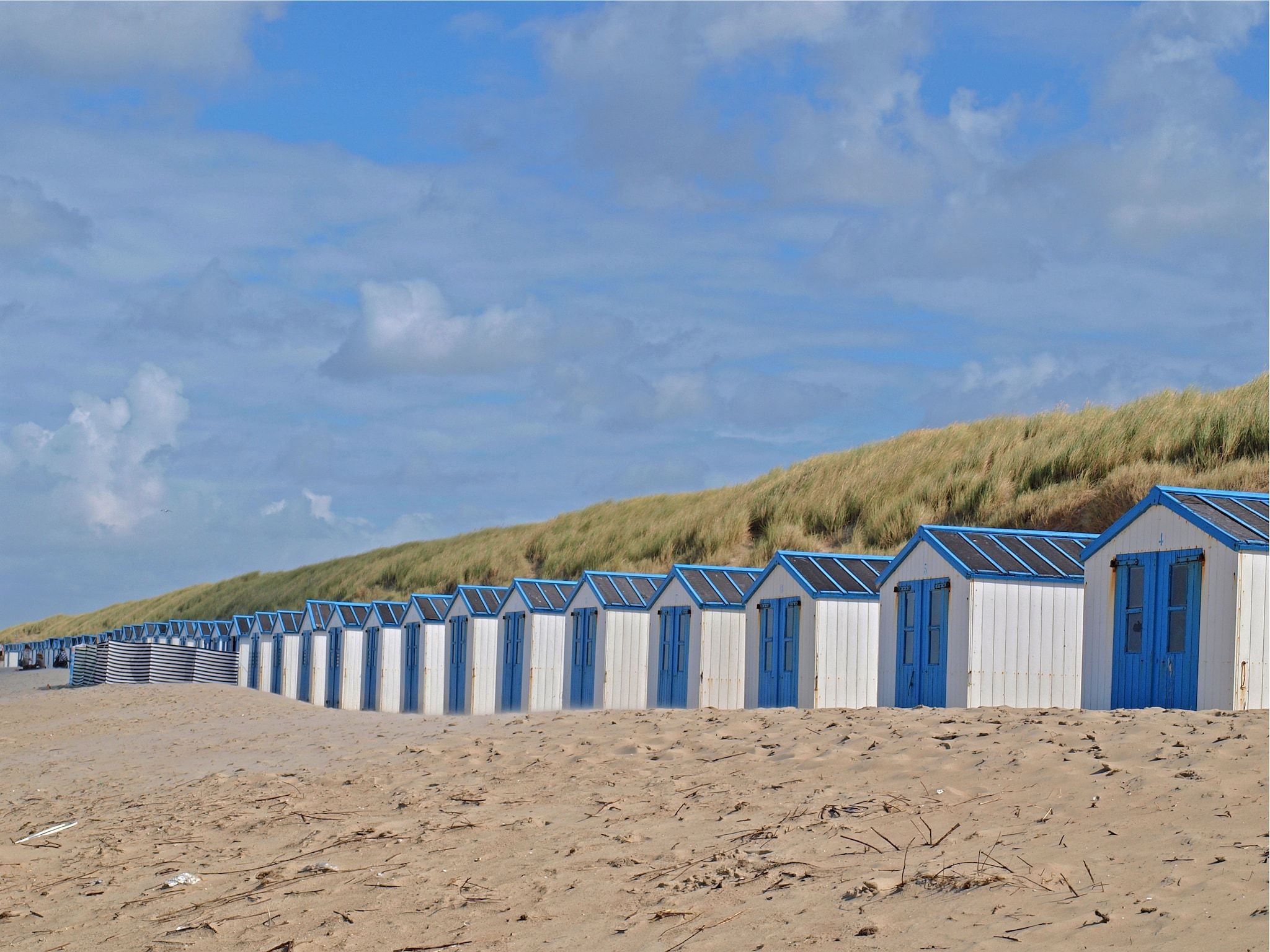 De omgeving van Kustpark Texel 4 in De Koog