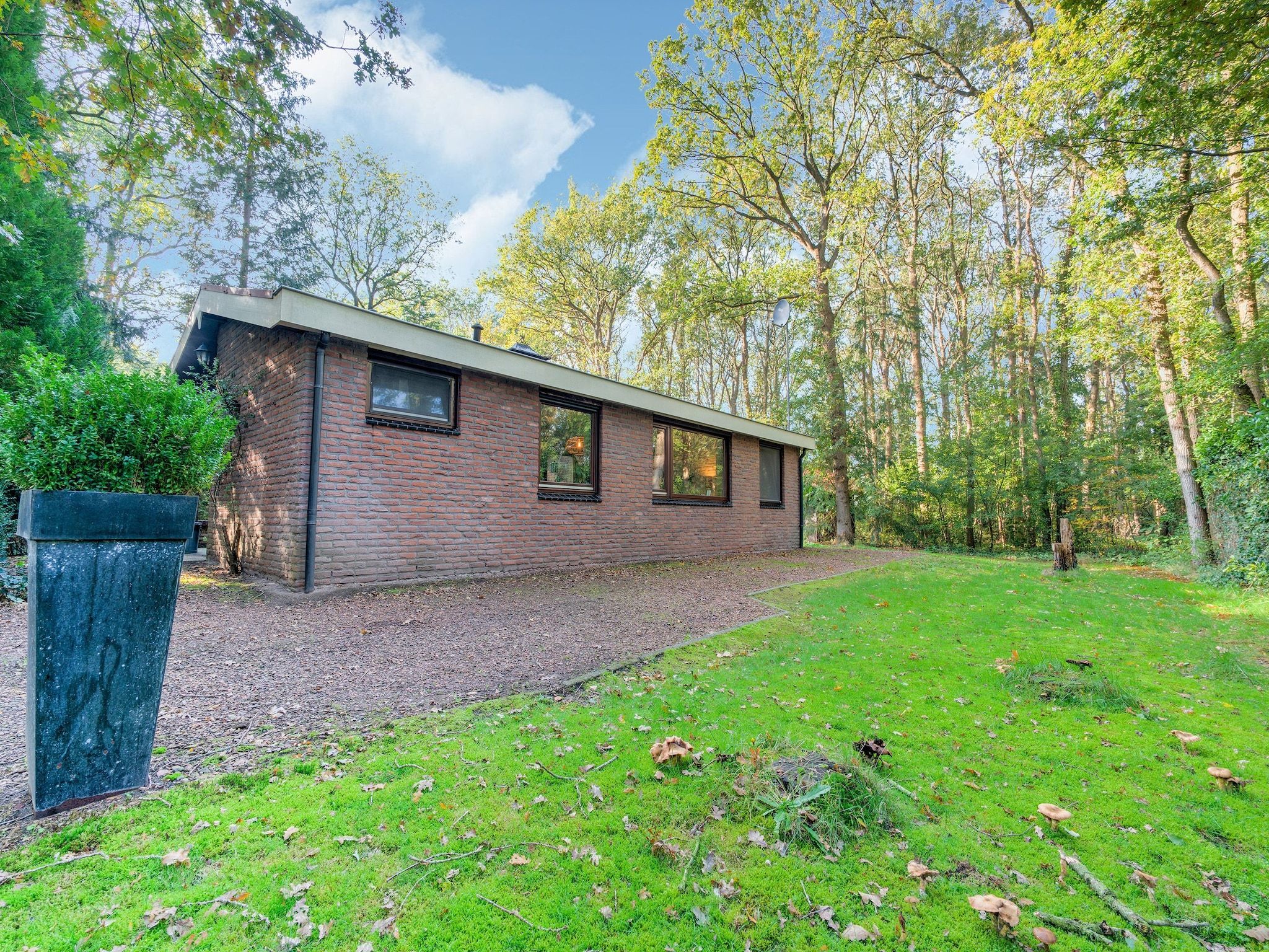 De buitenkant van The Forest Cottage in Zorgvlied