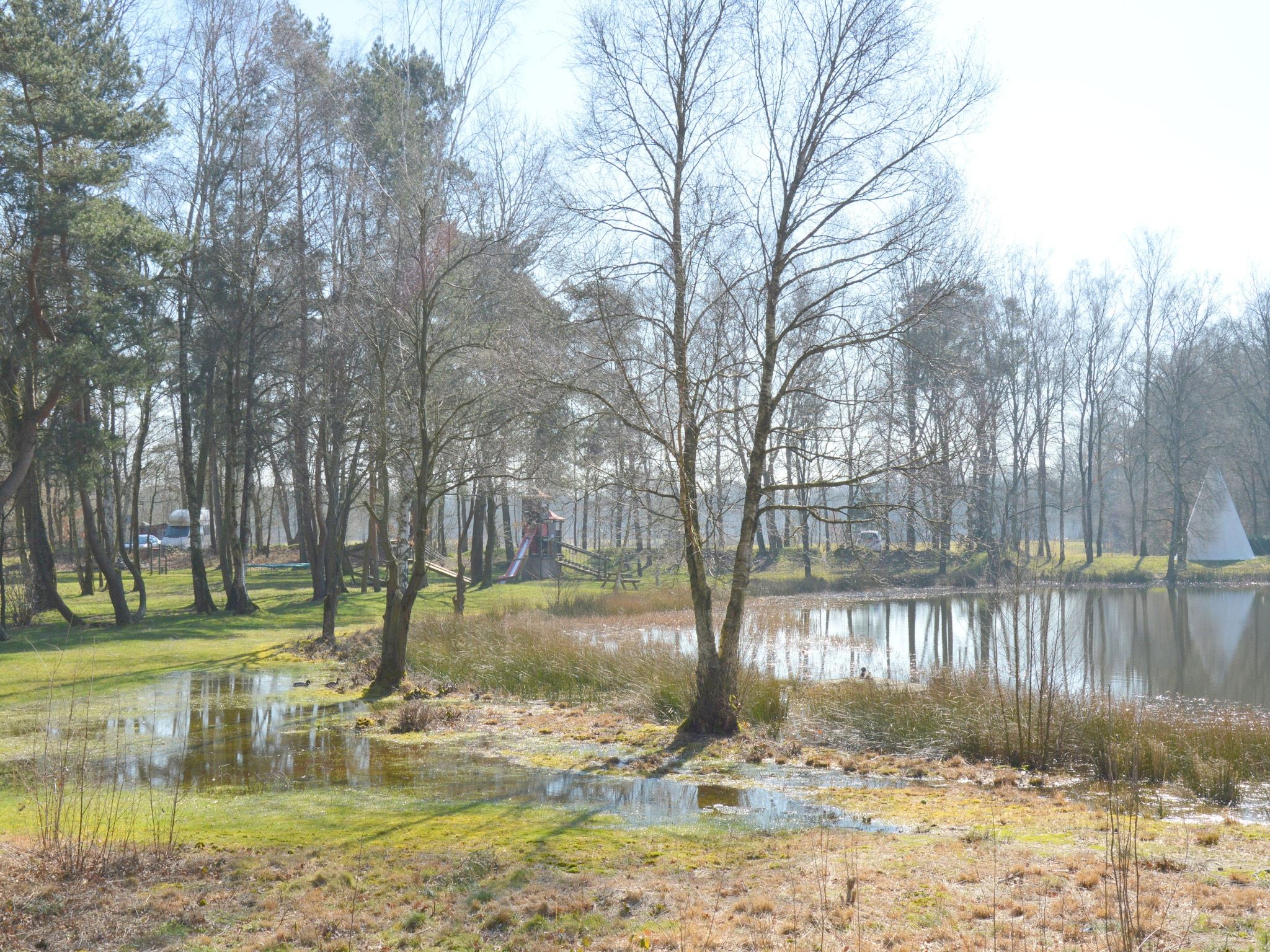 Bungalow 5 in Stramproy - Foto 35 van 39