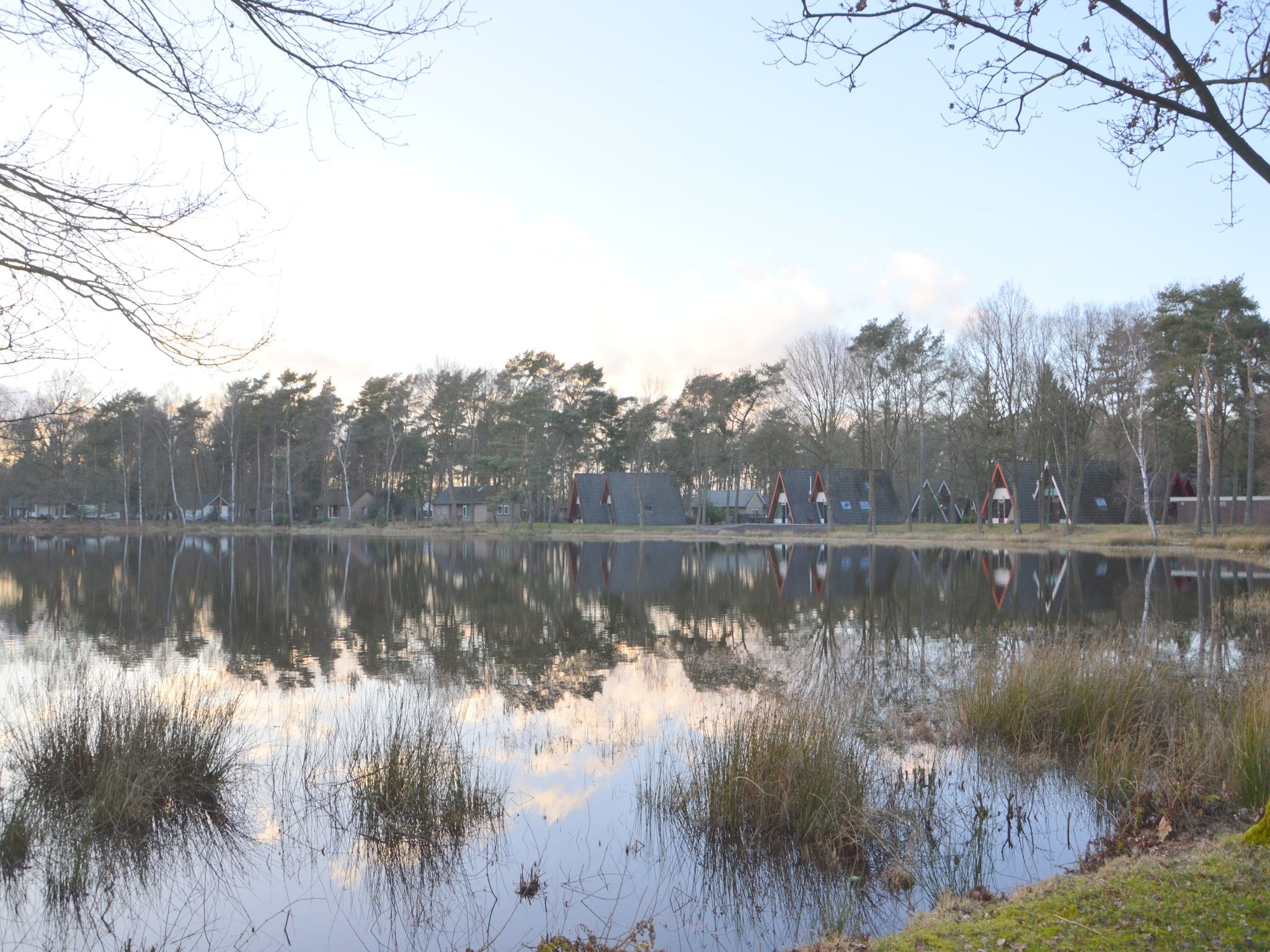 Het uitzicht vanaf Bungalow 4 in Stramproy
