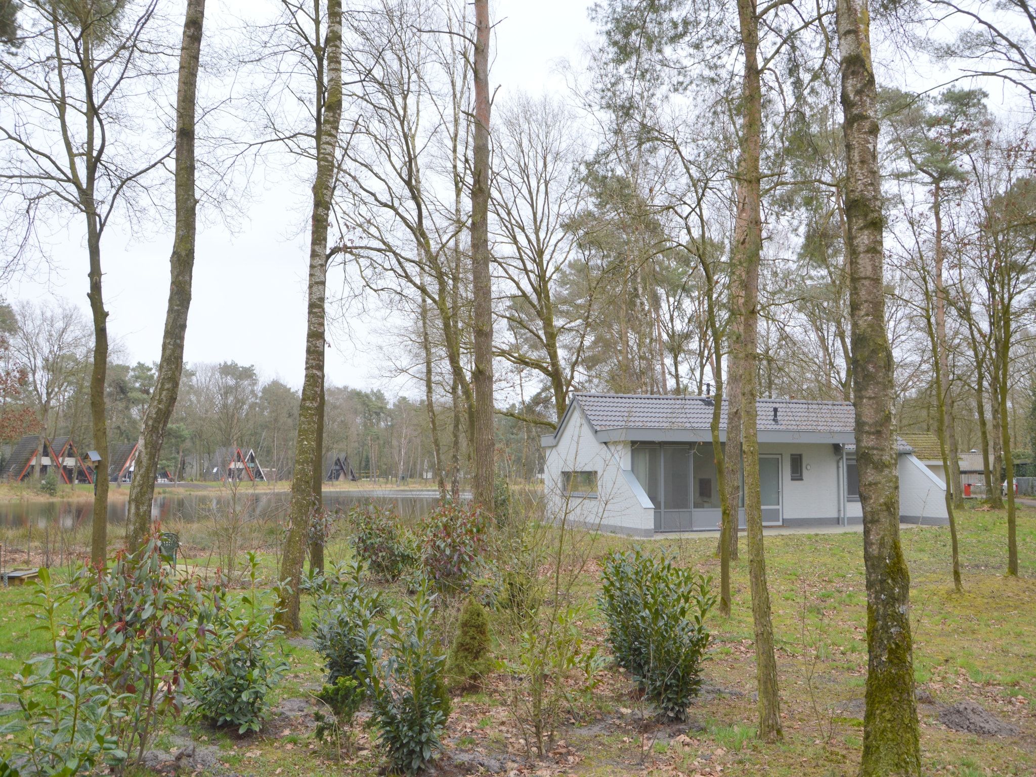 De tuin van Bungalow 4 in Stramproy