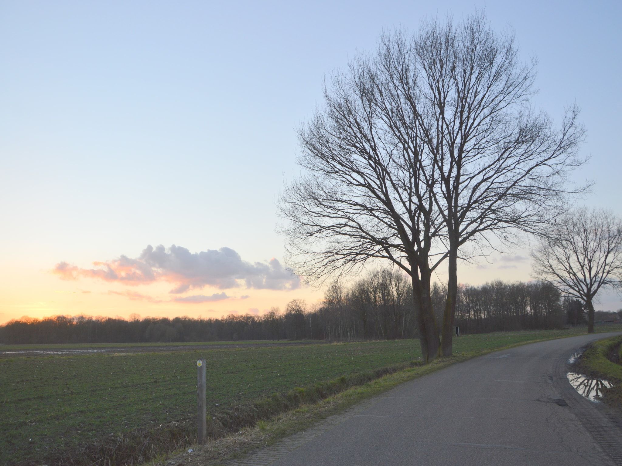 De omgeving van Bungalow 4 in Stramproy