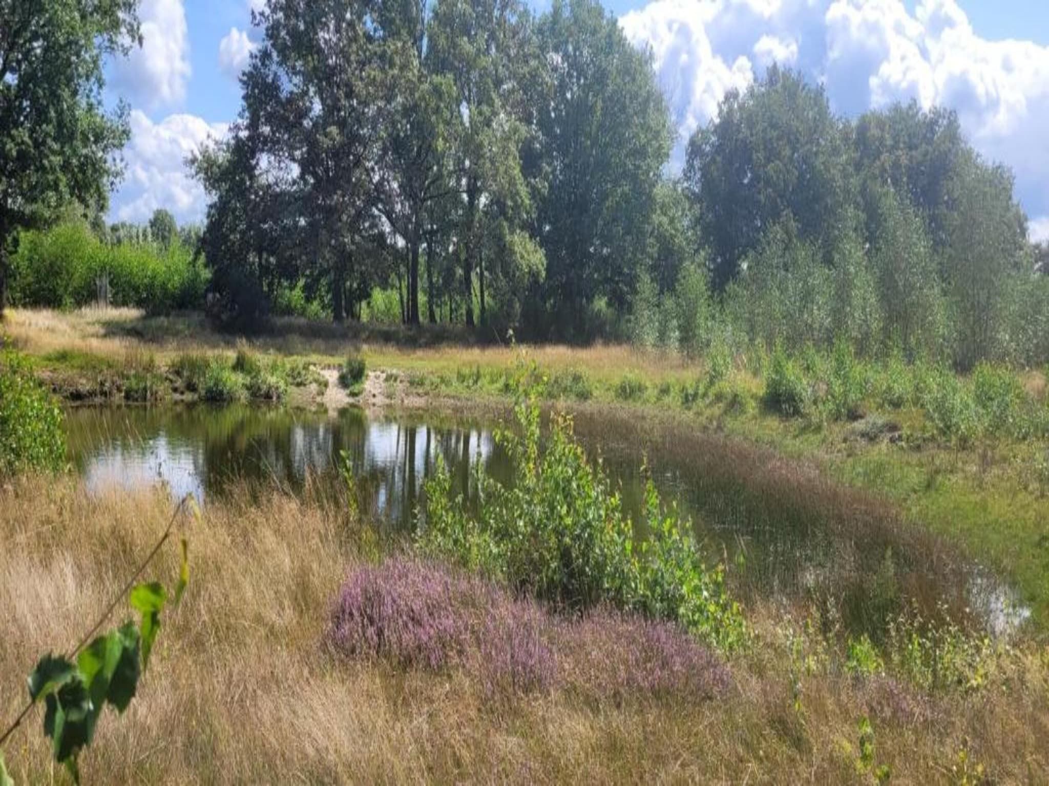 Vakantiepark Sandberghe 2 in Uden - Foto 39 van 40