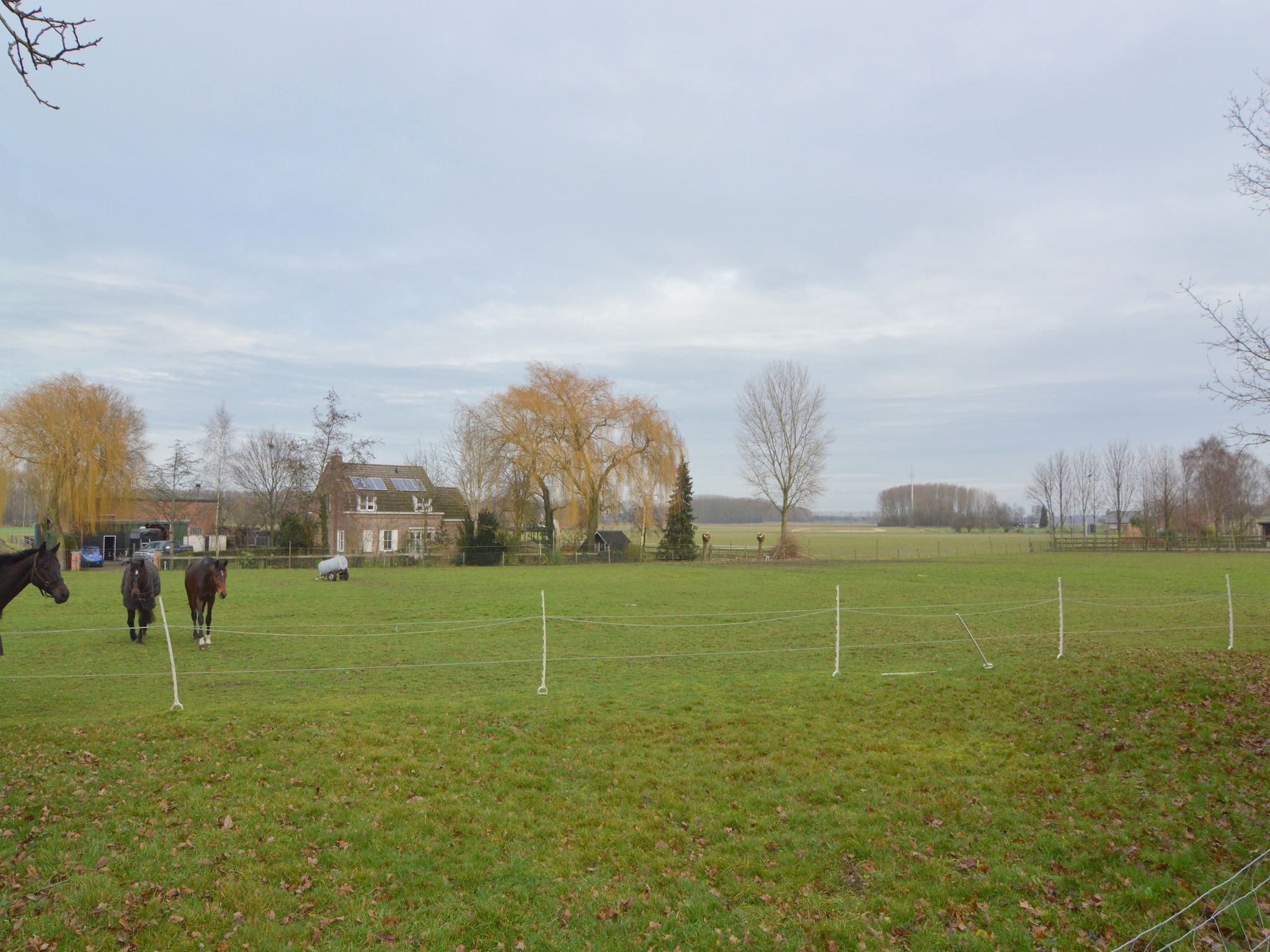 Houck in Koewacht - Foto 24 van 38
