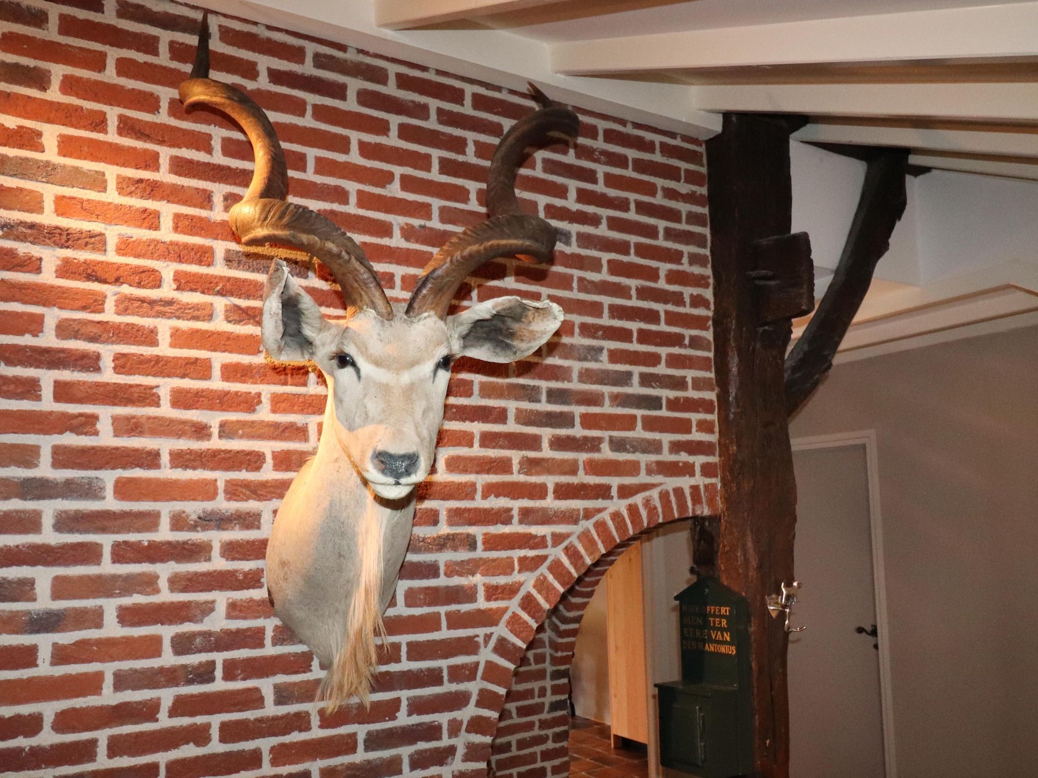 Sfeerbeeld van Landgoed de Klimberg in Rheezerveen