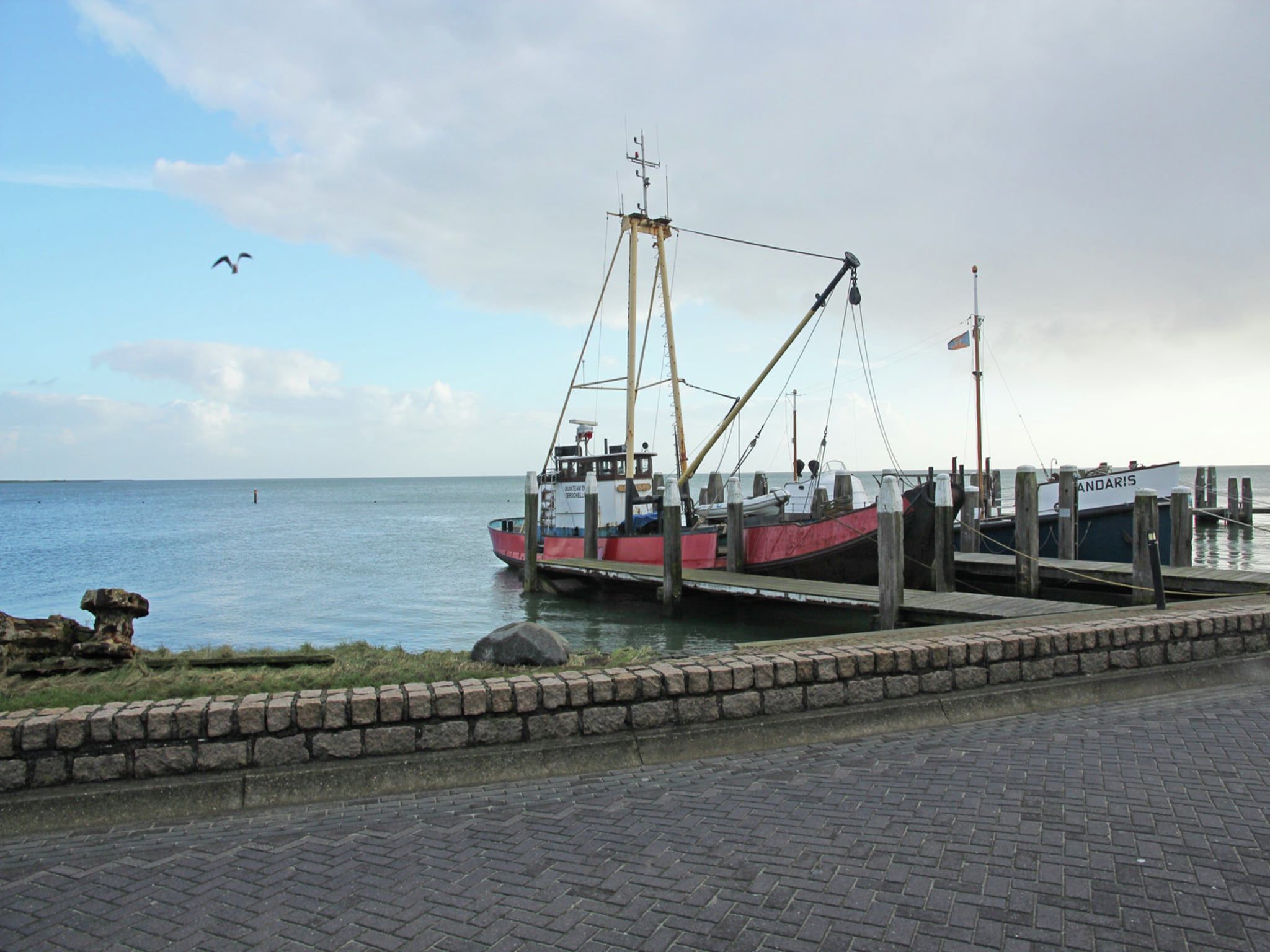 Duindroom op Terschelling in Midsland Terschelling - Foto 29 van 40