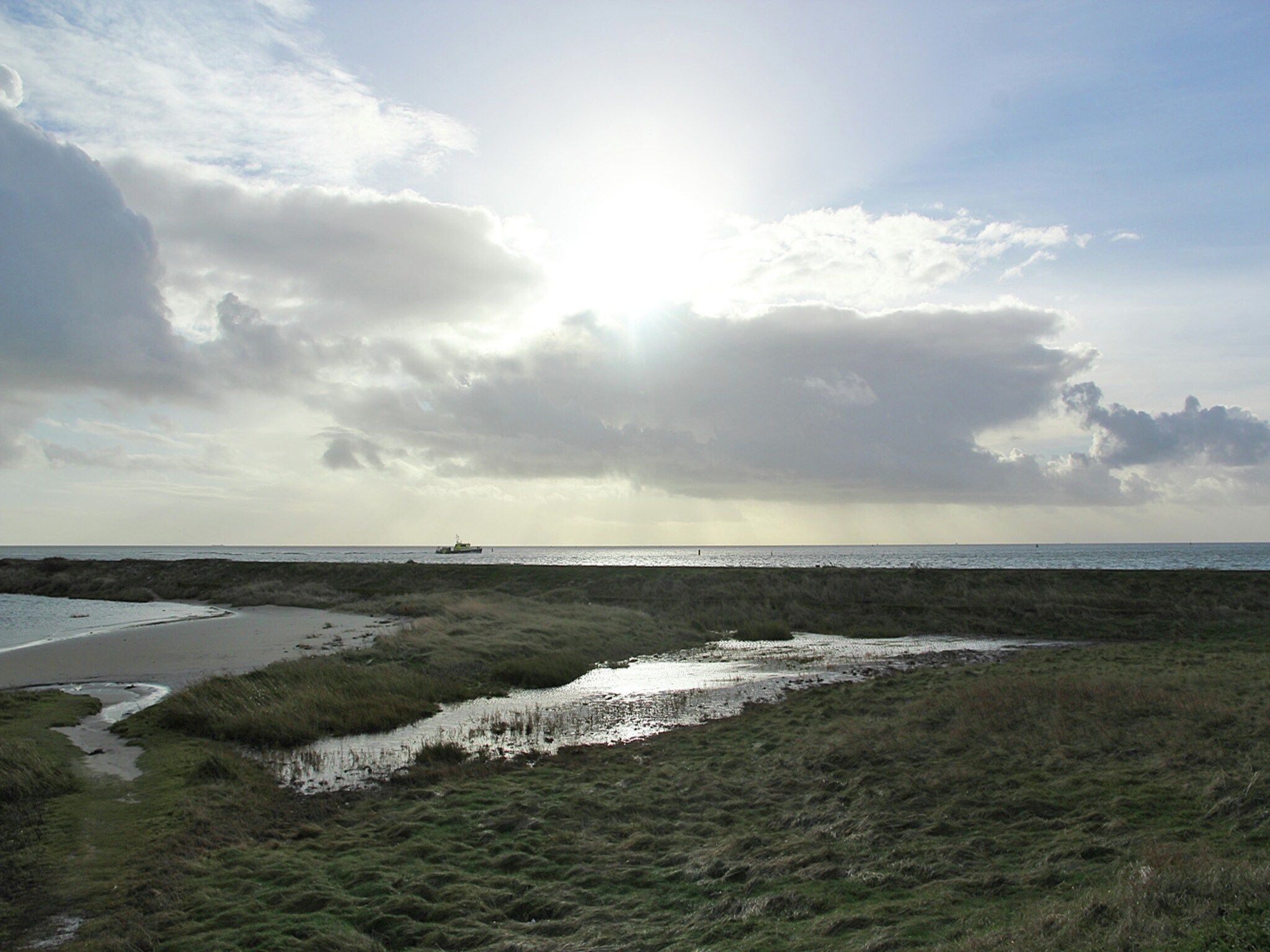 Duindroom op Terschelling in Midsland Terschelling - Foto 24 van 40