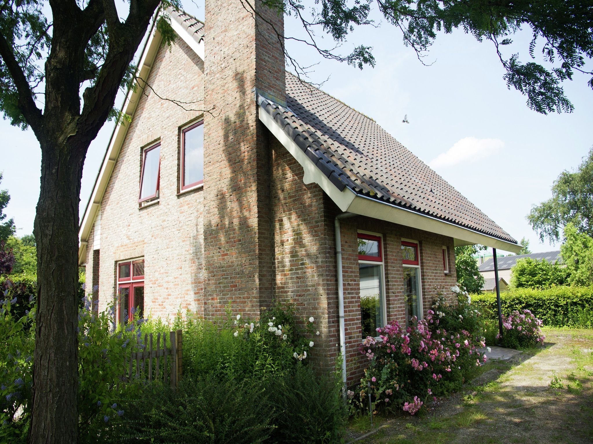 De tuin van De Biezenknop in Eede